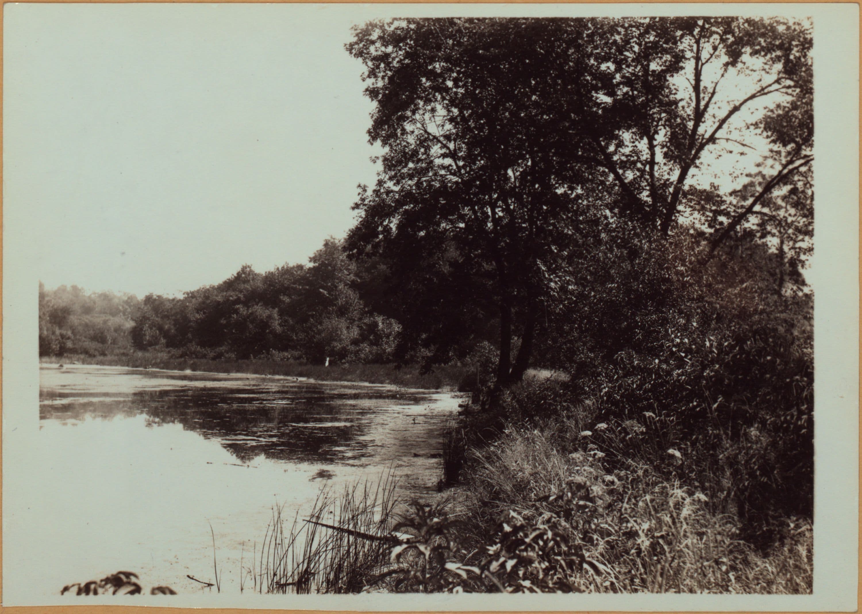 Richmond:] Staten Island - Clove Lakes Park - [View of Clove Lake, formerly known as Britton's Pond., 1910