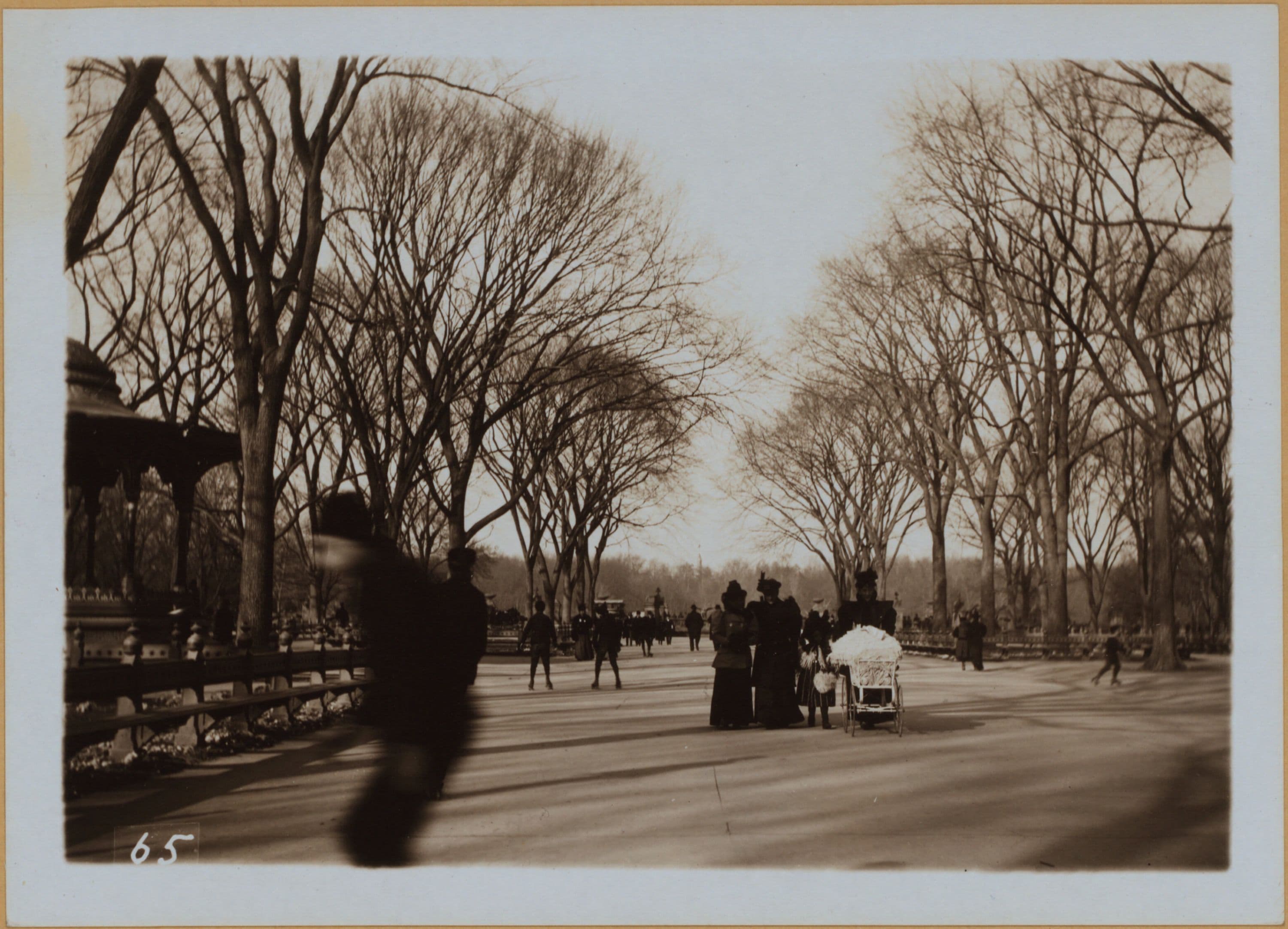 Manhattan: Central Park - The Mall.