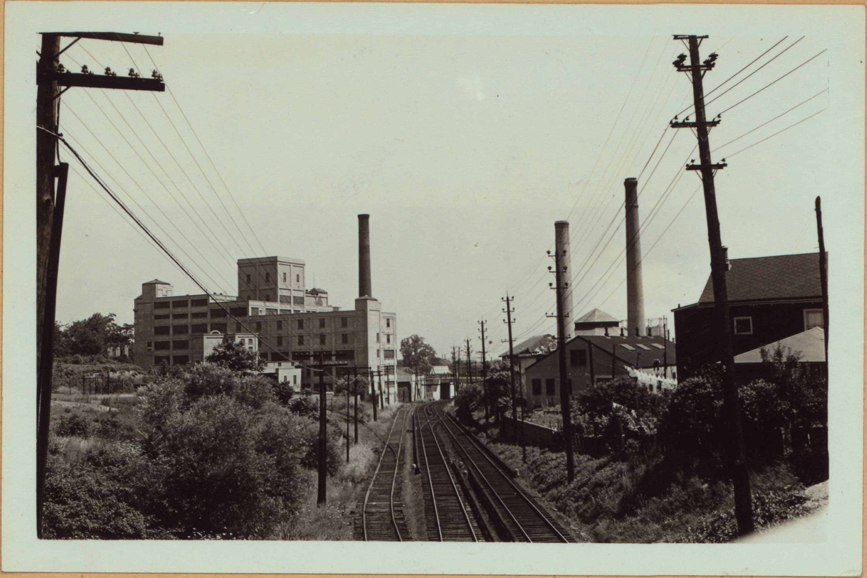 Richmond: Chestnut Avenue - White Plains Avenue
