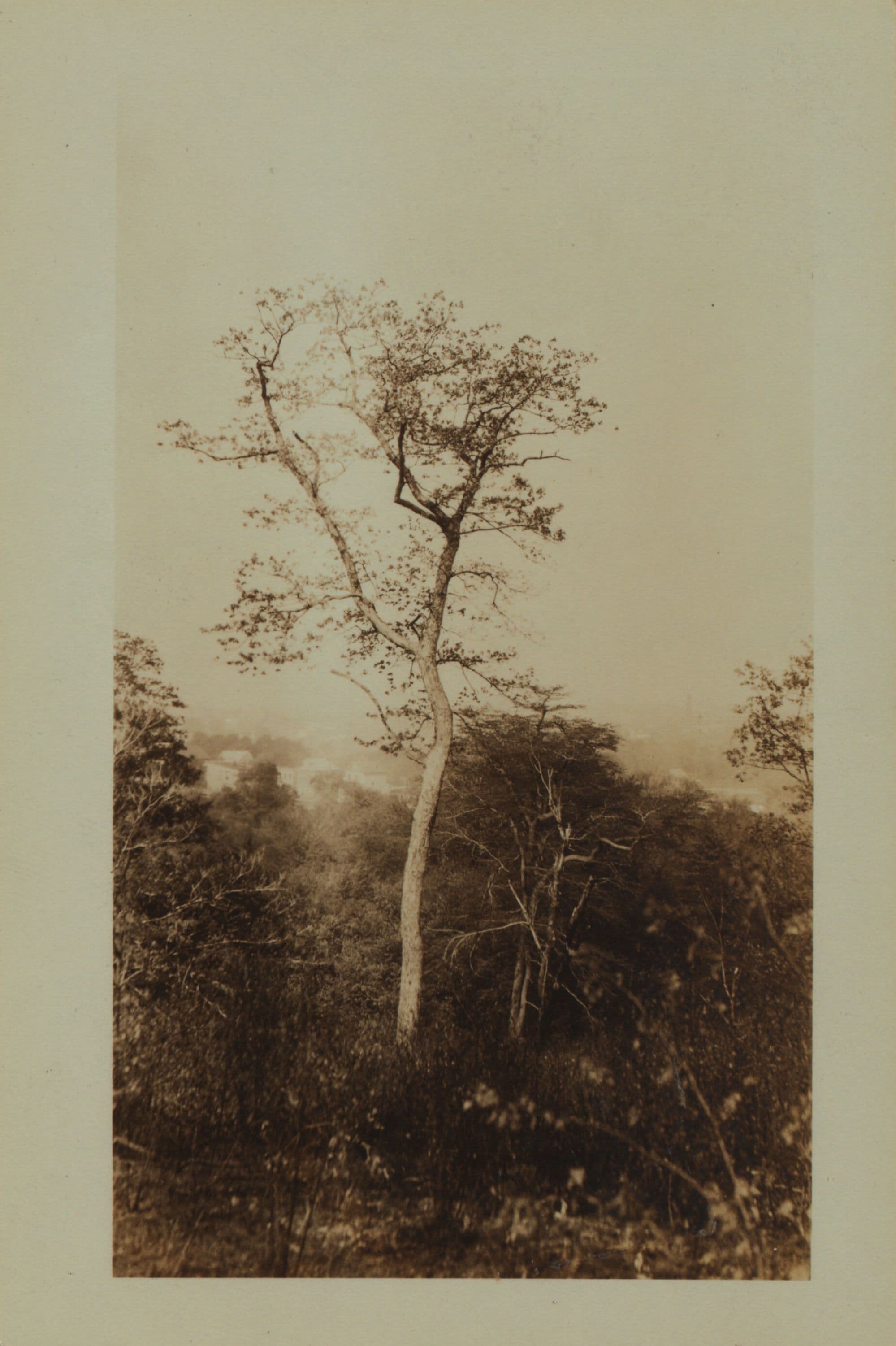Richmond: Sparkill Avenue - Duncan Street