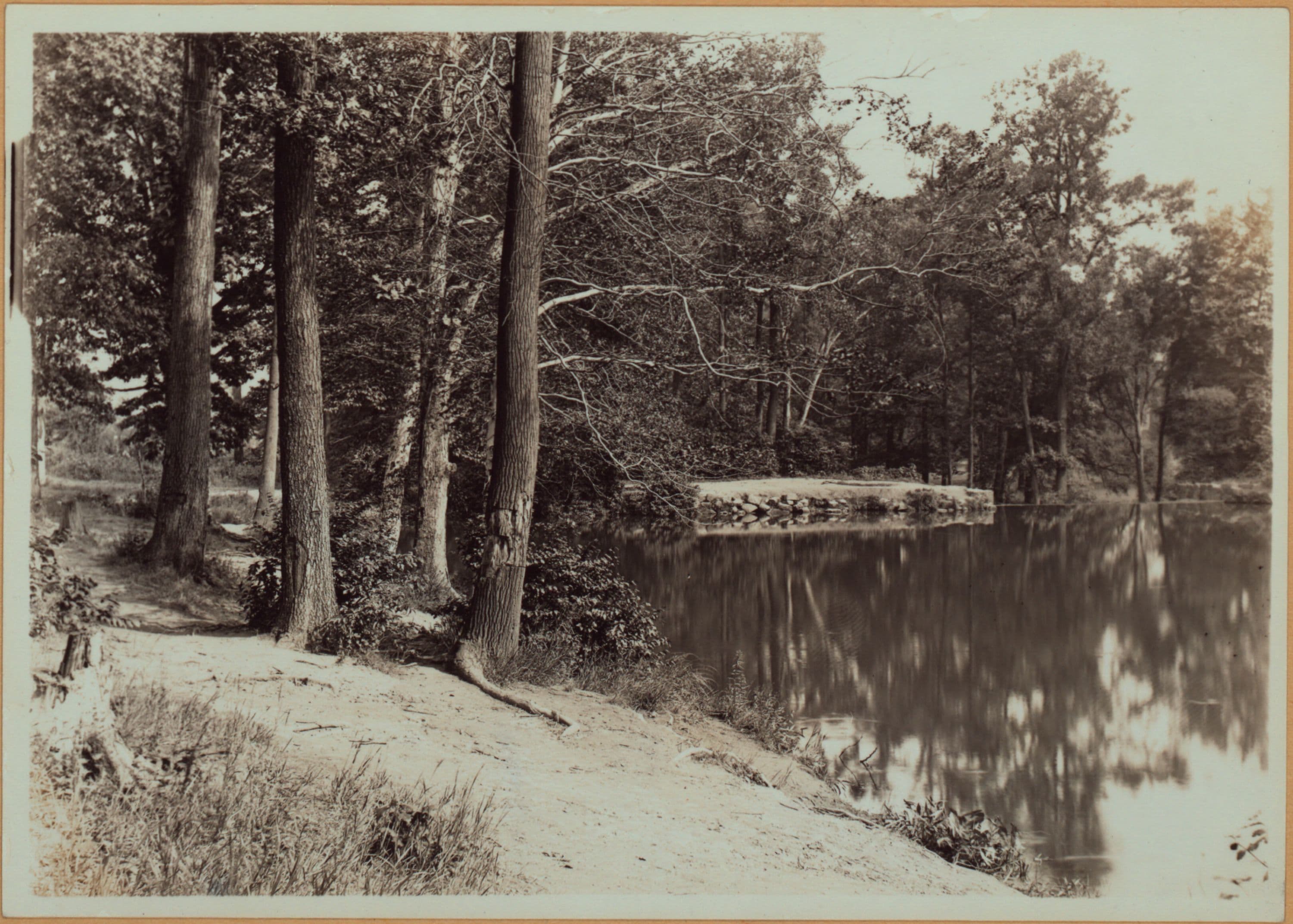 Richmond:] Staten Island - Clove Lakes Park - [Two scenes of Clove Lake., 1910