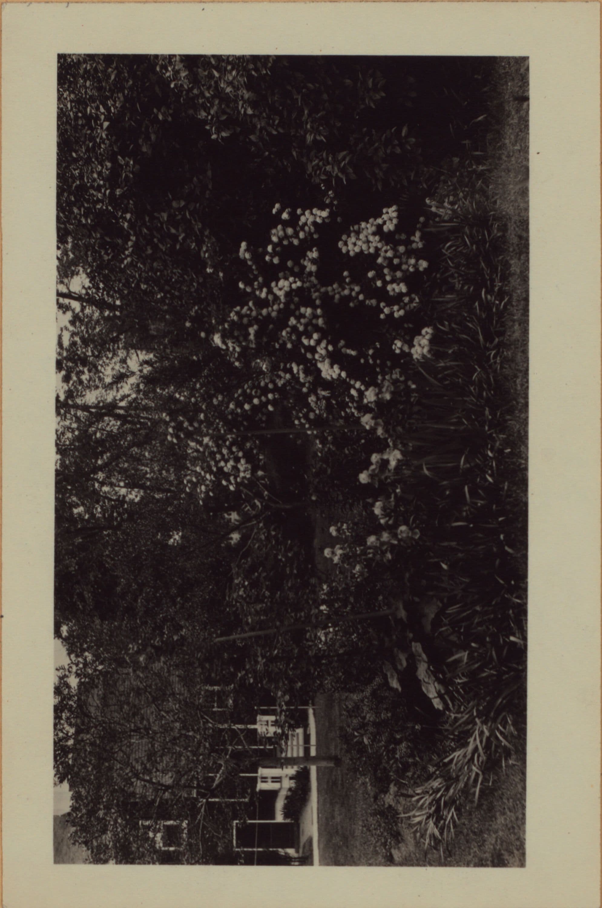 Richmond: Clinton Avenue - Henderson Avenue