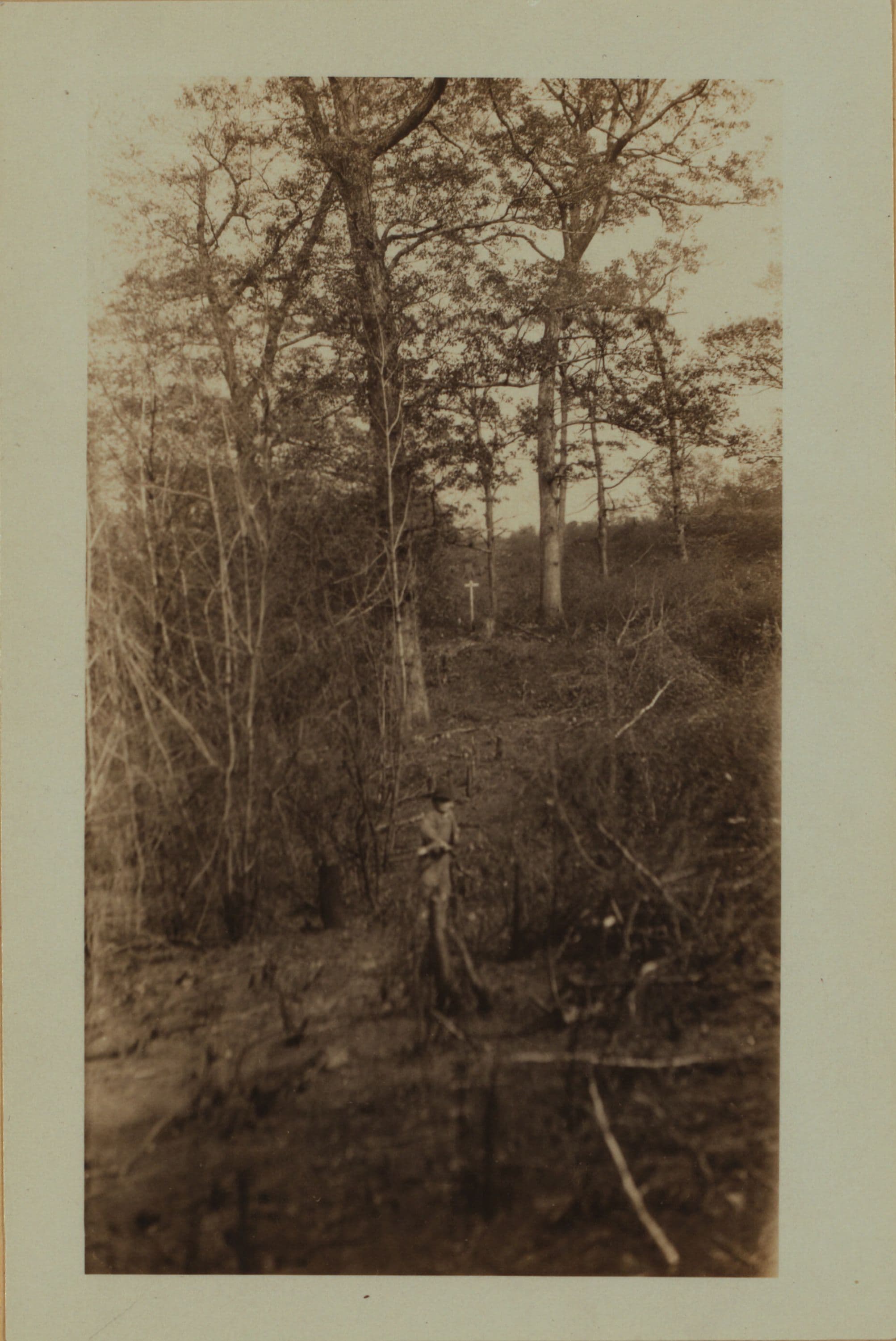 Richmond: Sparkill Avenue - Duncan Street