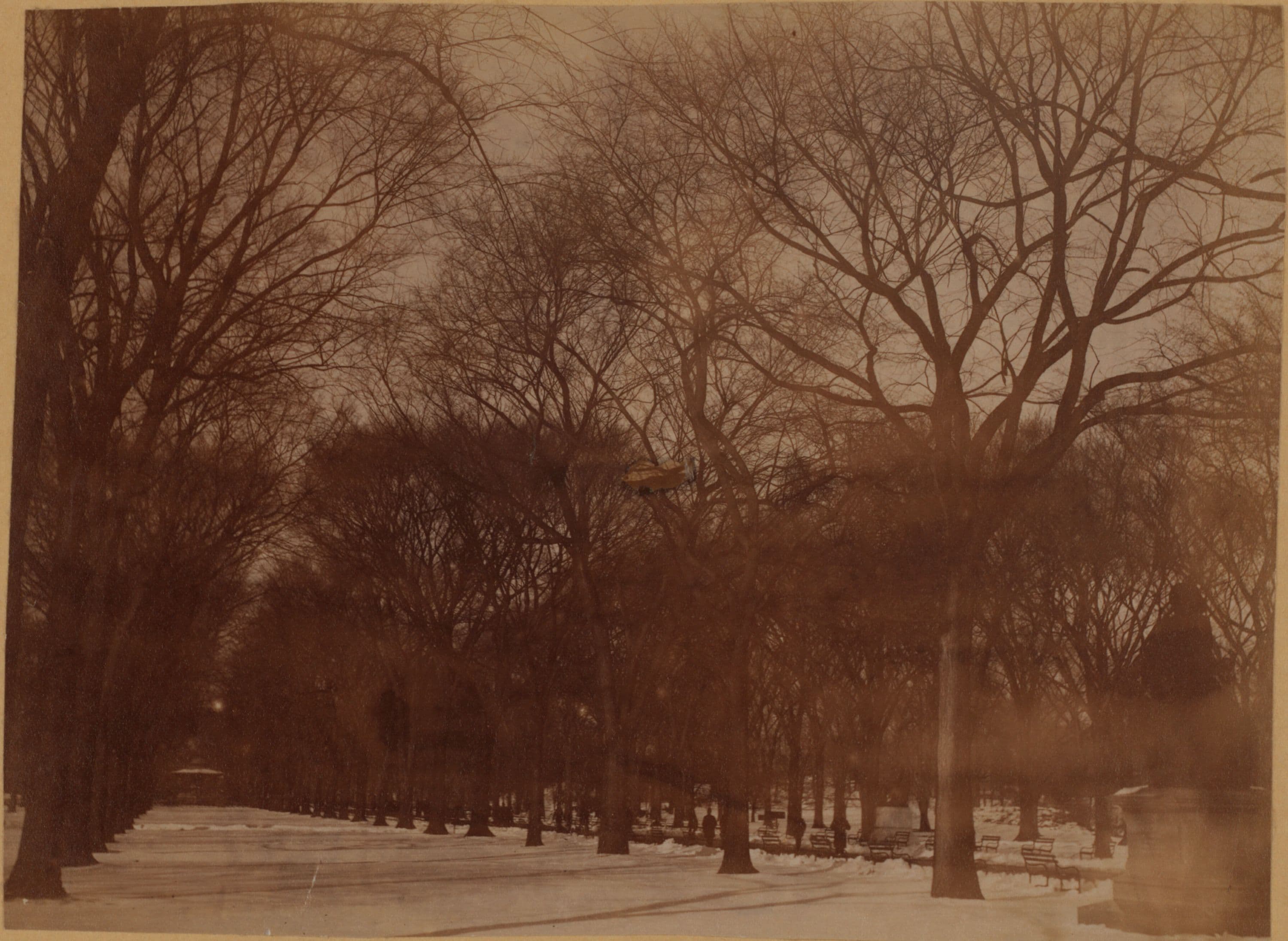 Manhattan: Central Park - The Mall.