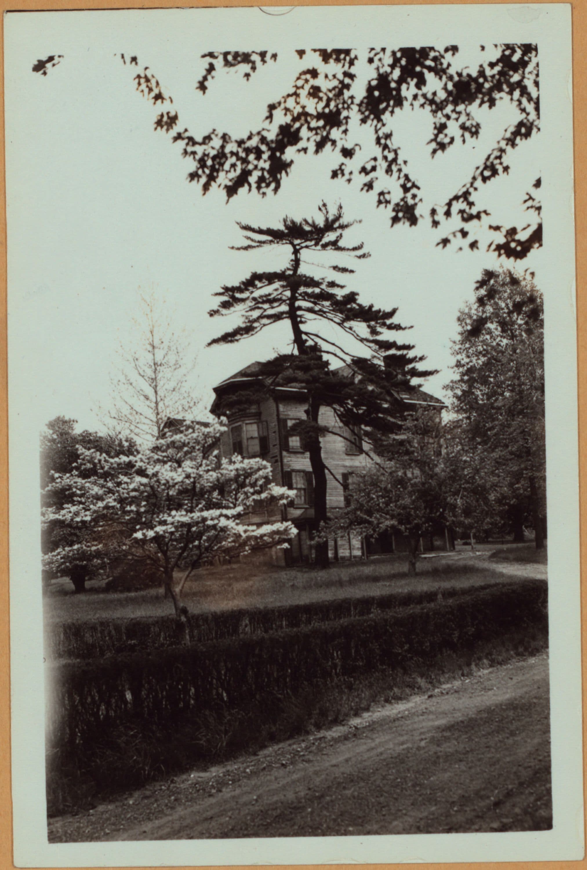 Richmond: Clove Road - Forest Avenue