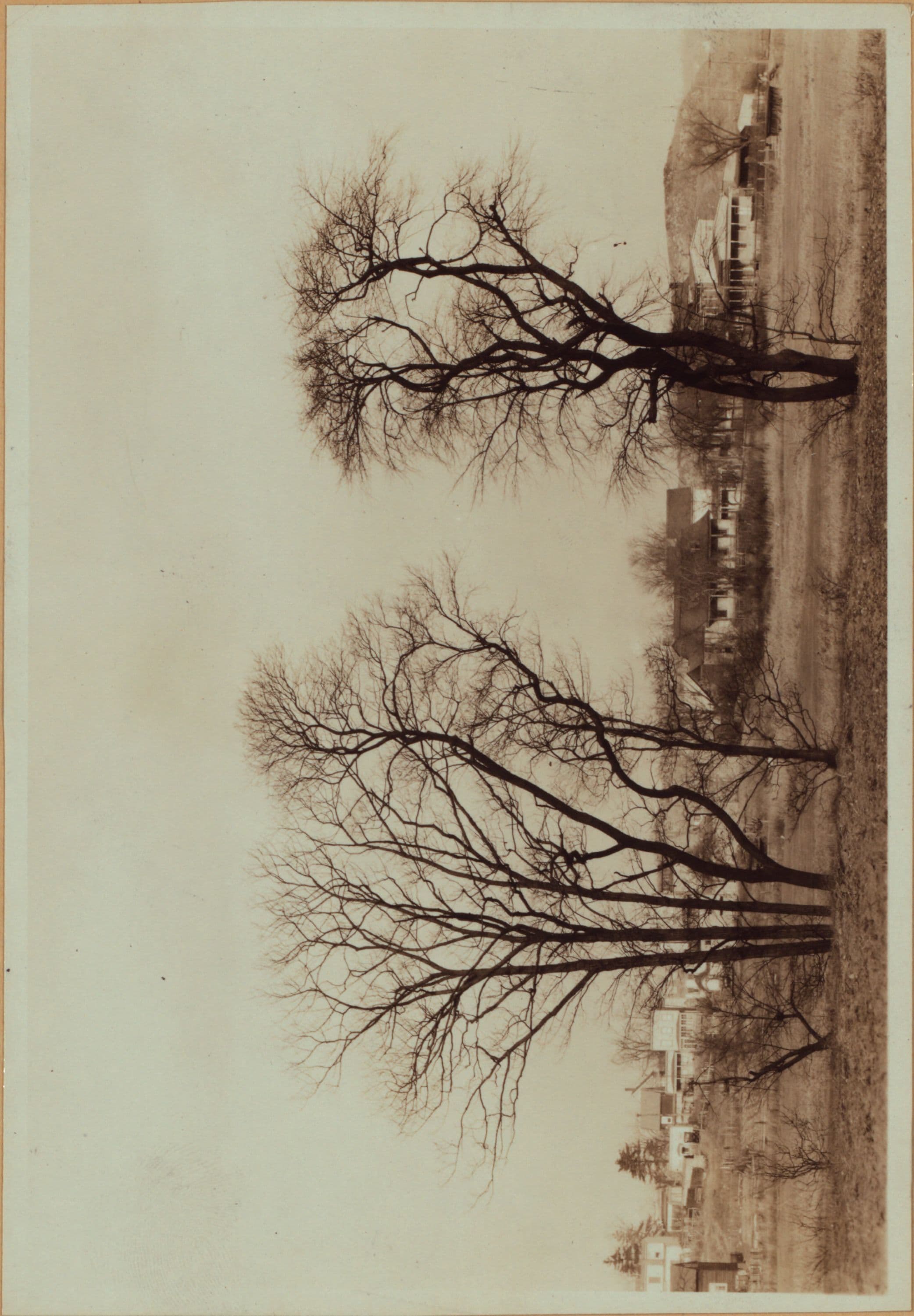 Queens: Colonial Avenue - 62nd Drive