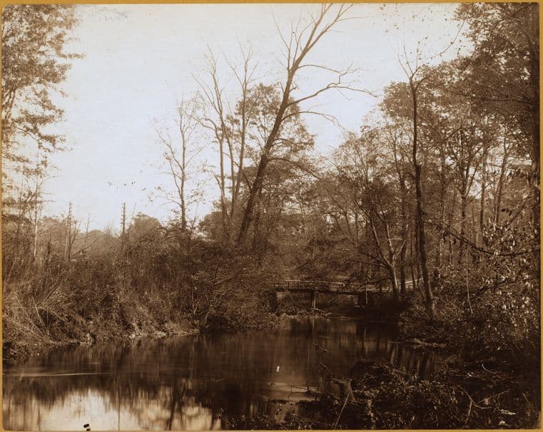 Bronx: Bronx River Parkway - 174th Street (East)