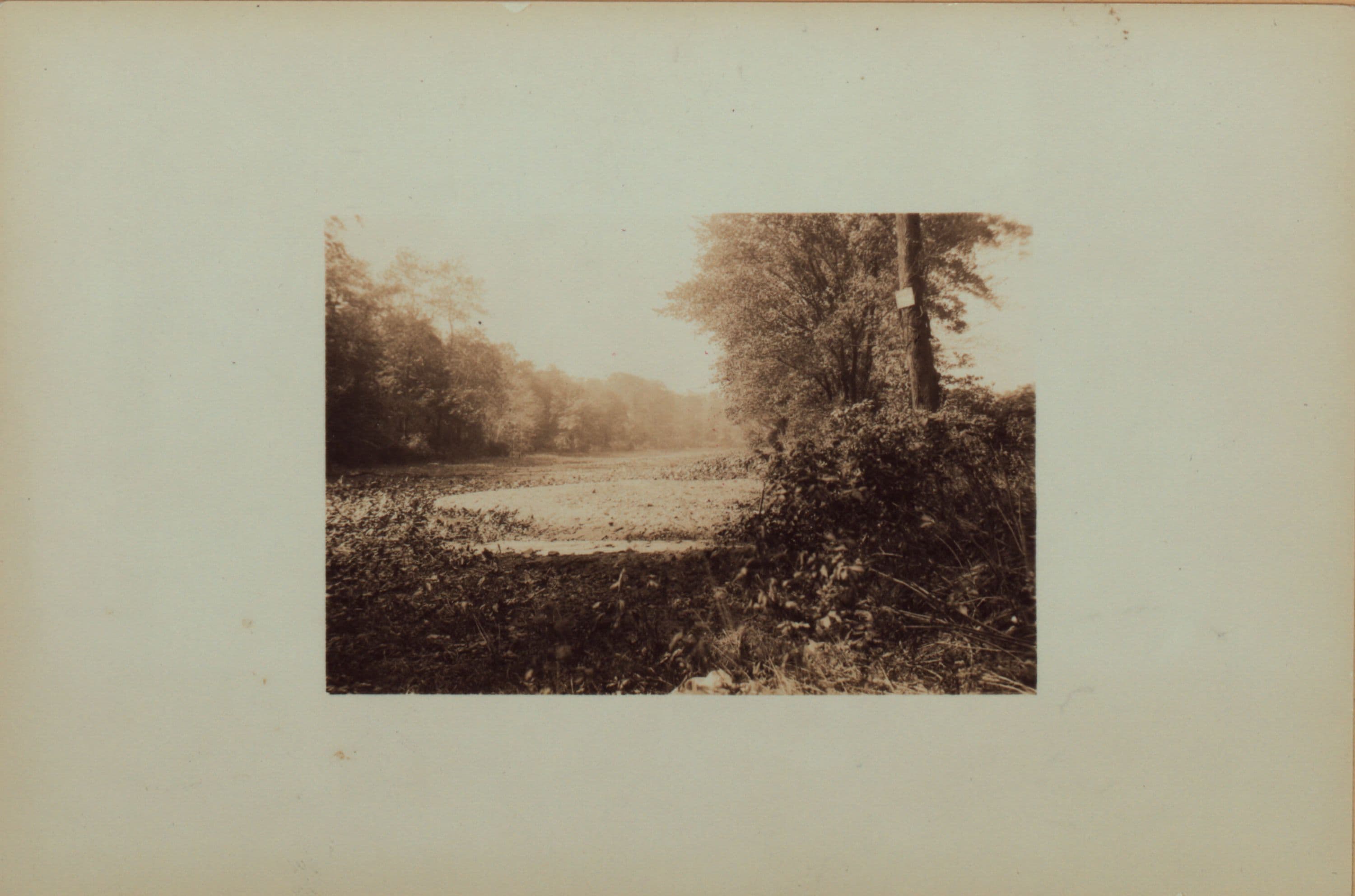 Richmond:] Staten Island - Clove Lakes Park - Clove Lake.