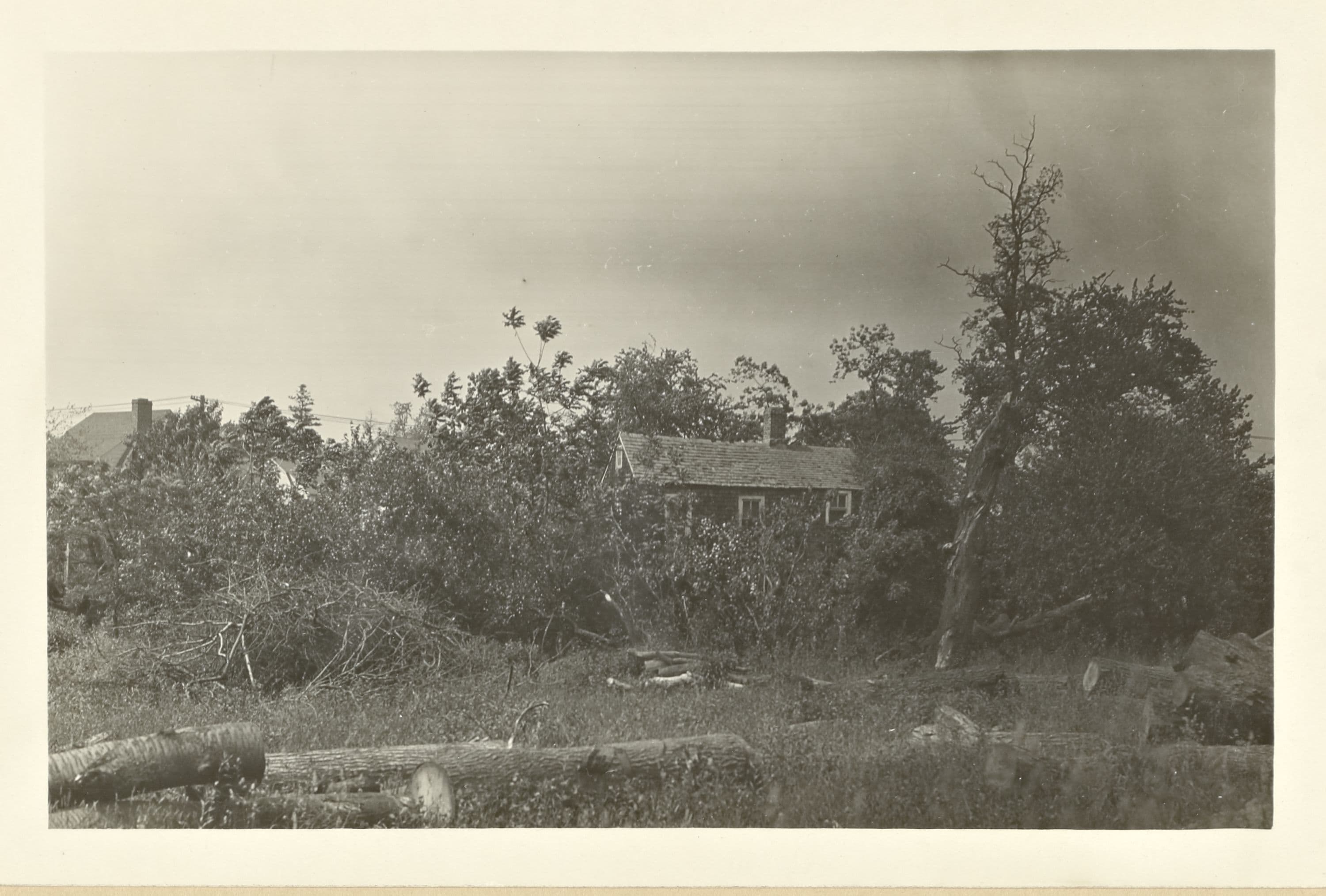 Queens: Northern Boulevard - Marathon Parkway