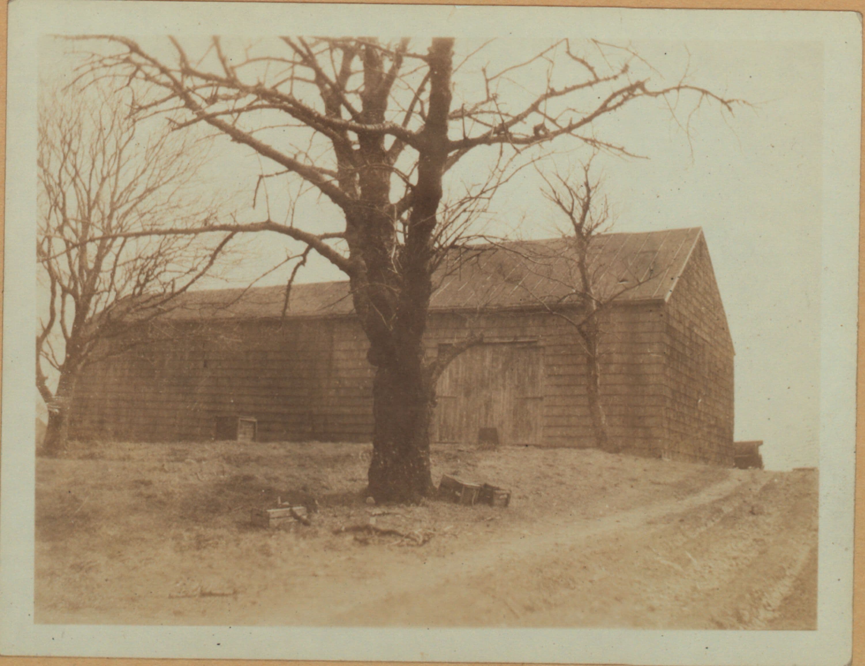 Queens: 19th Avenue - 79th Street