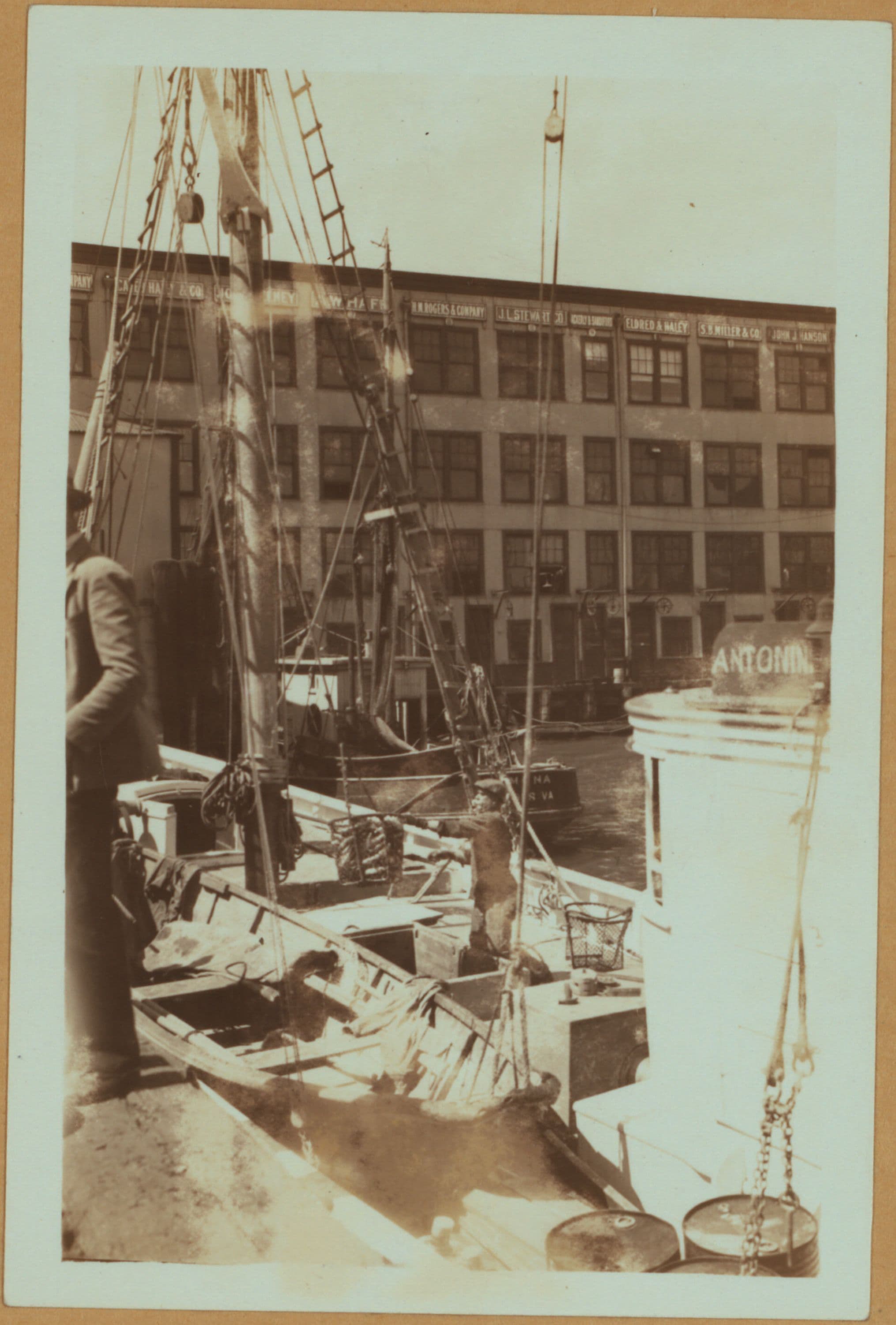 Fulton fish market in Manhattan - [Unloading fish from trawler Friars and boat Antonia.]