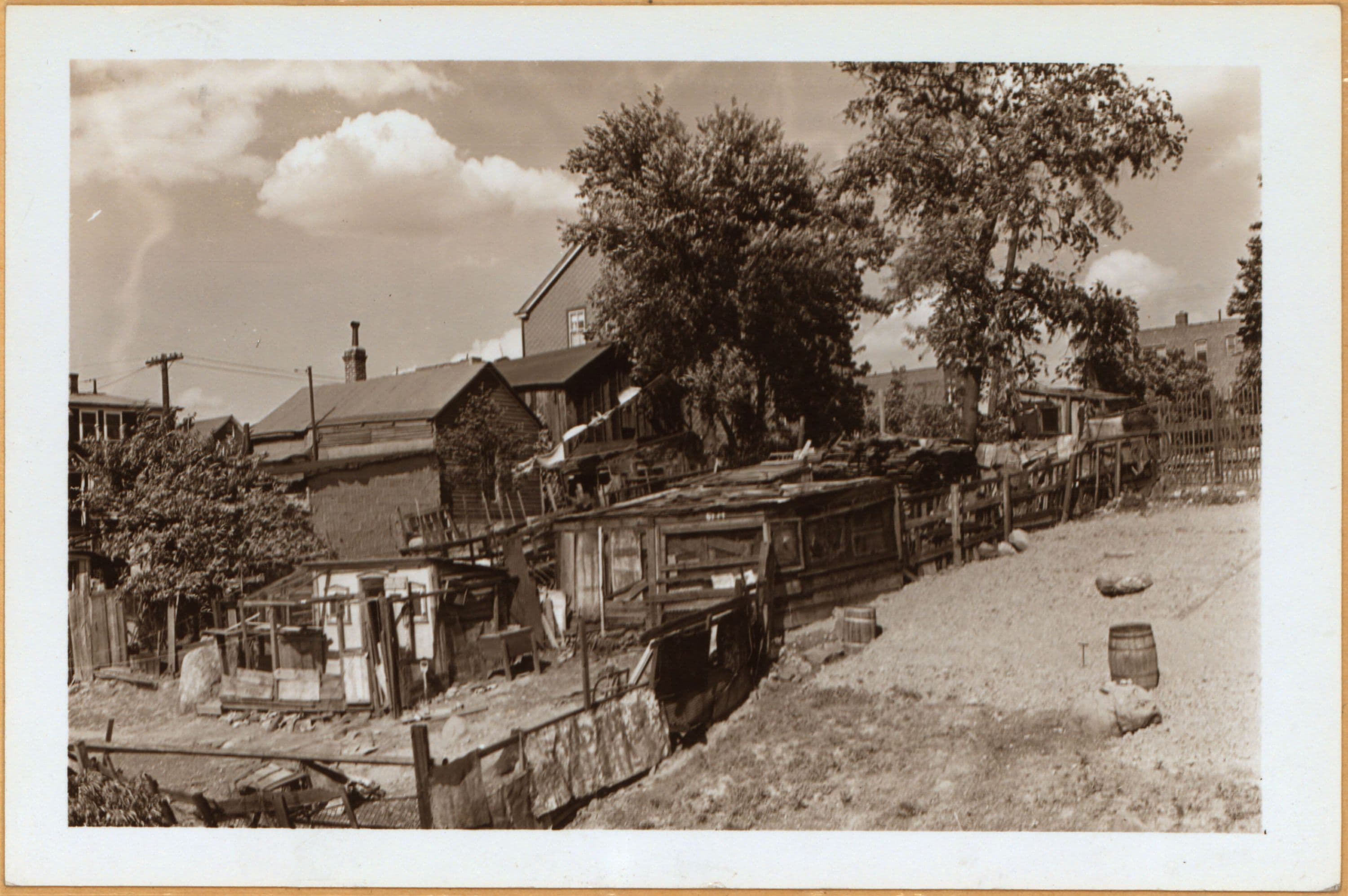 Bronx: Mayflower Avenue - Wilkinson Avenue