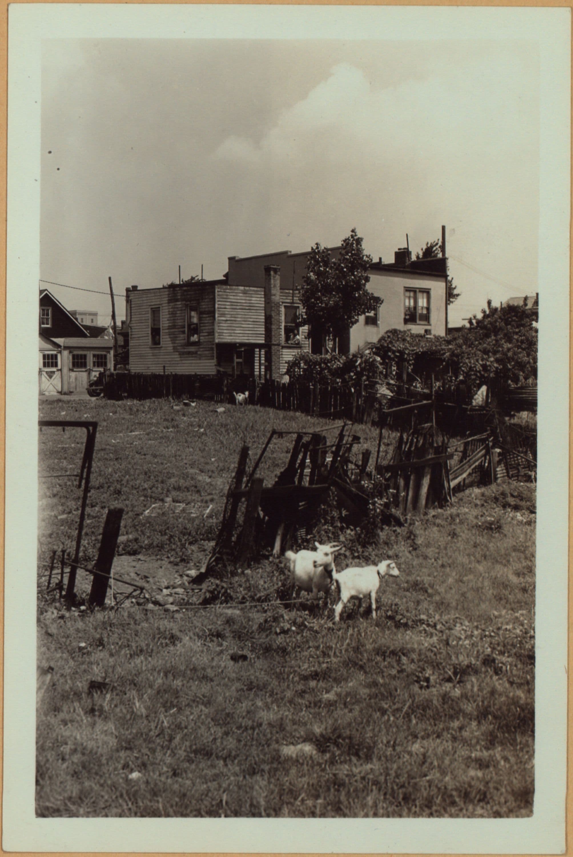 Richmond: Amity Street - White Plains Avenue