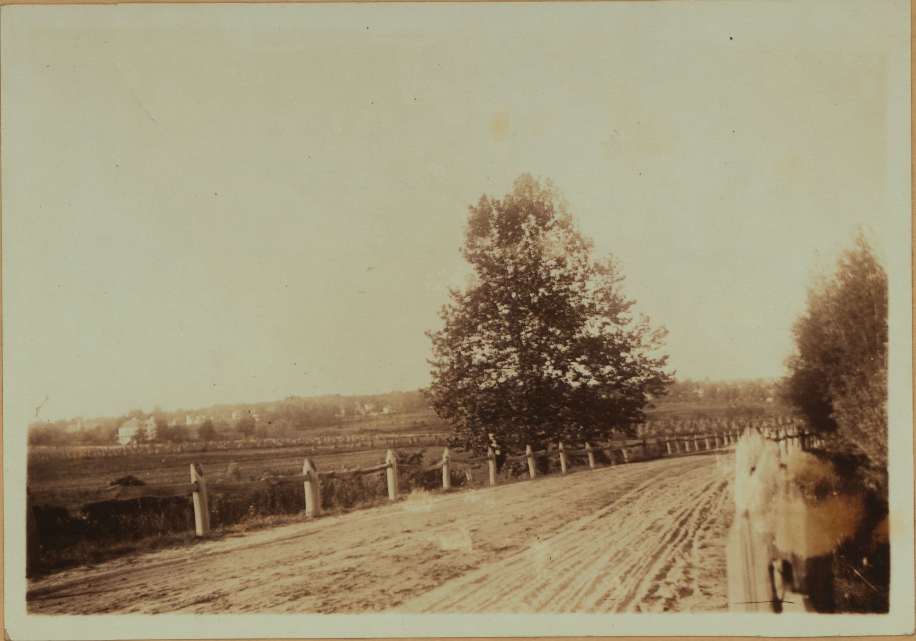 General view - Queens - Kissena Boulevard - Castleton Avenue (Northwest corner).