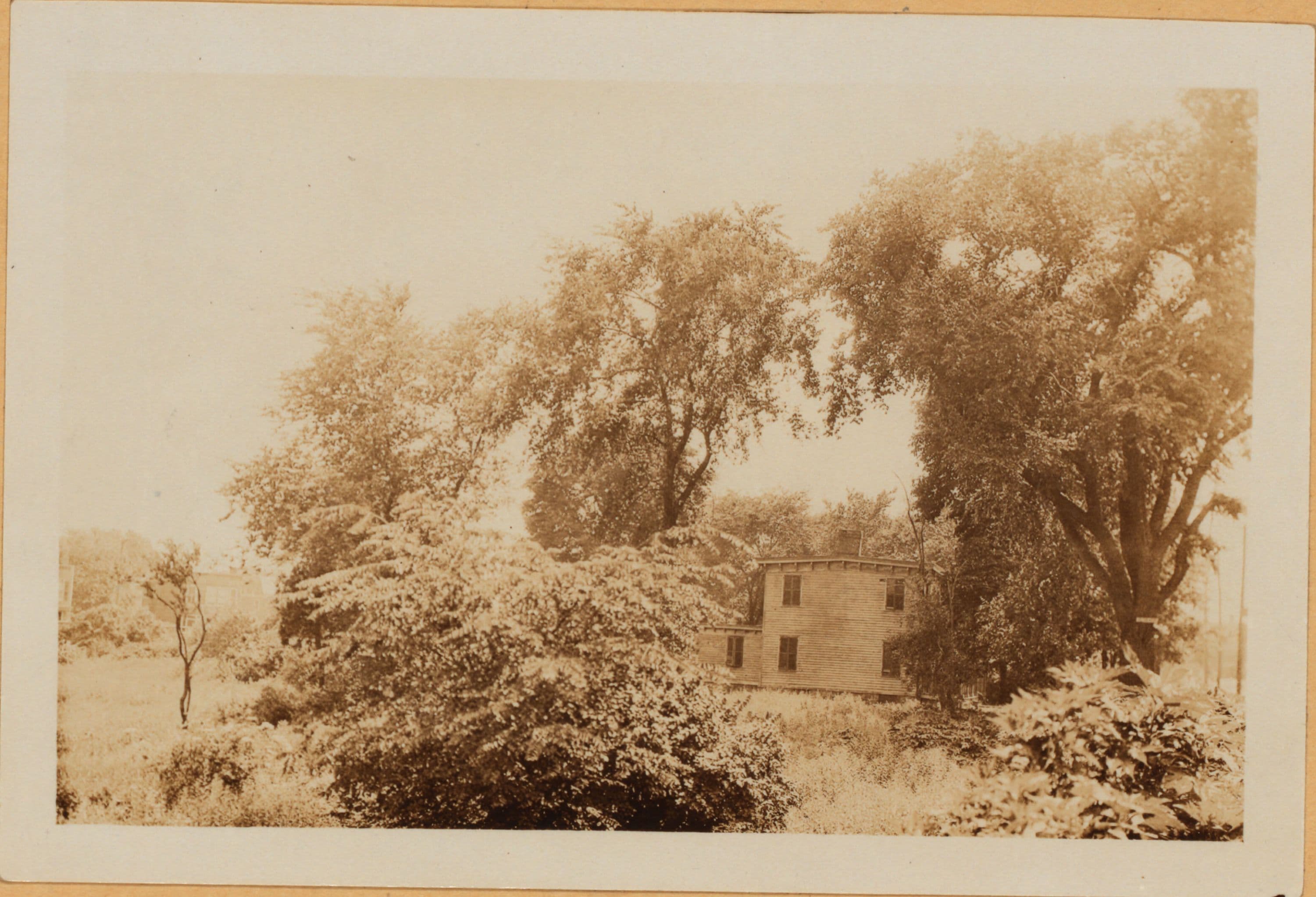 Bronx: Westchester Avenue - Havemeyer Avenue