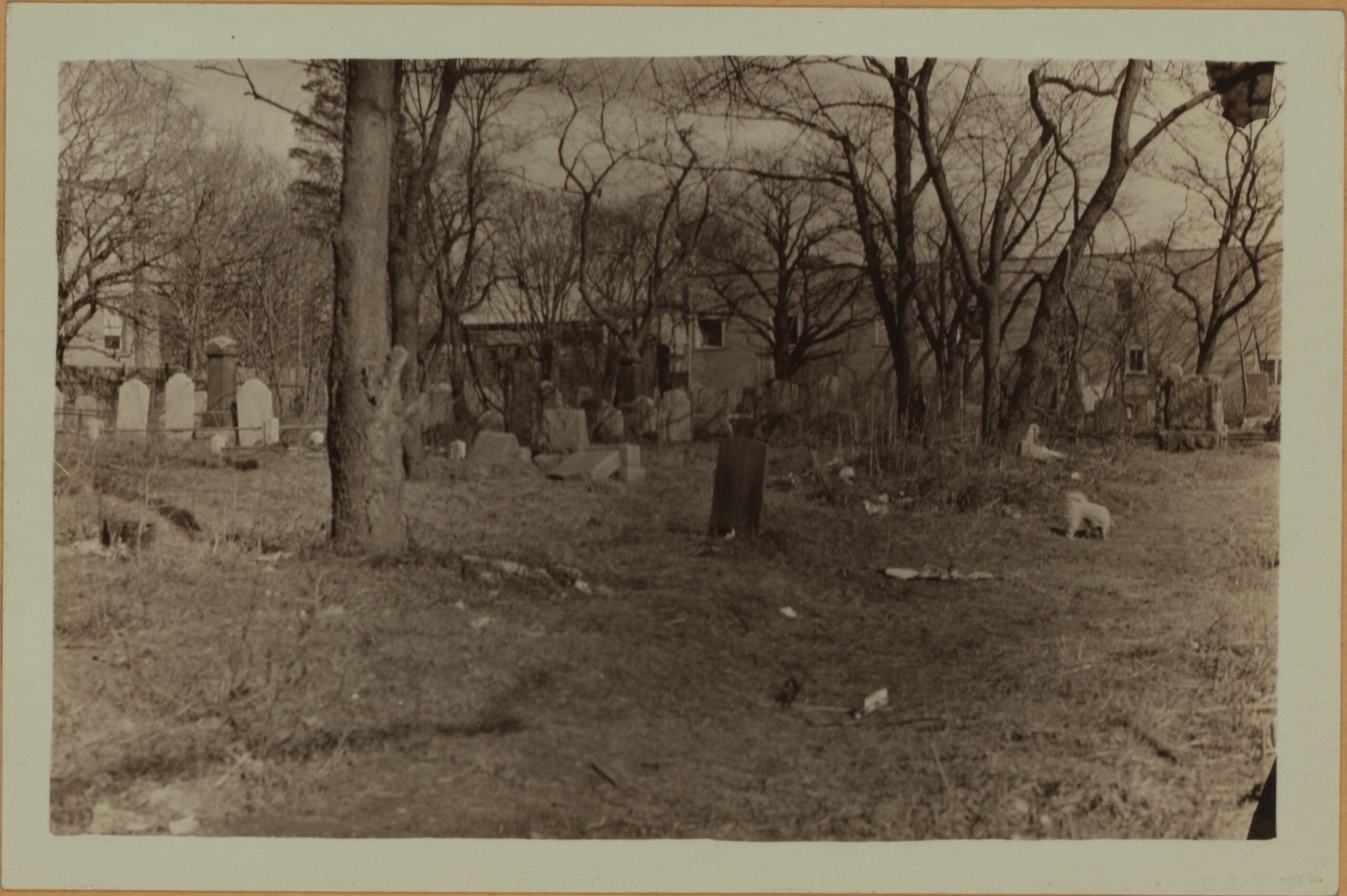 Cemeteries - Gravesend Cemetery - Brooklyn.