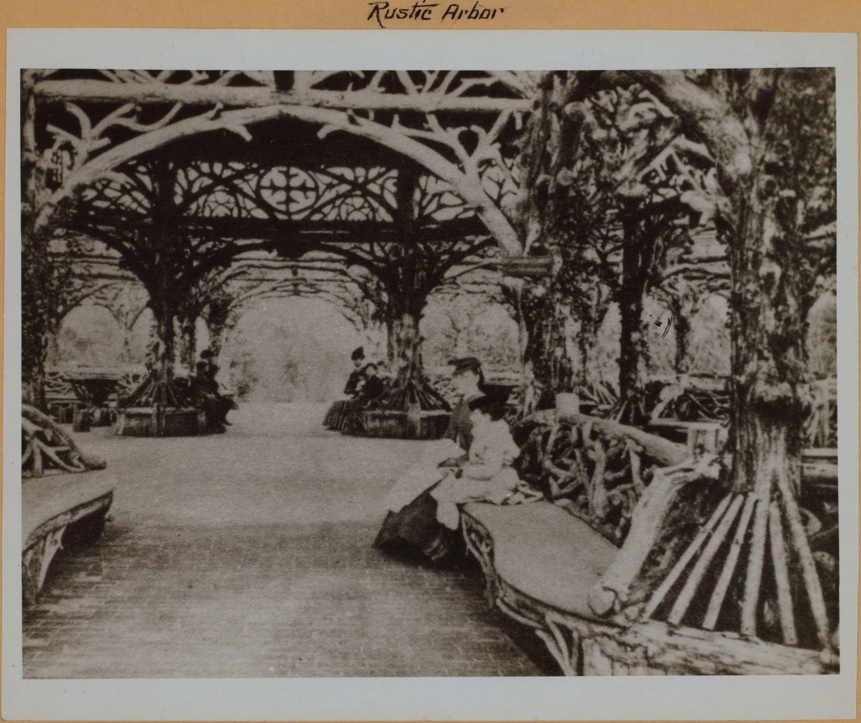Manhattan: Central Park - Rustic Arbor.