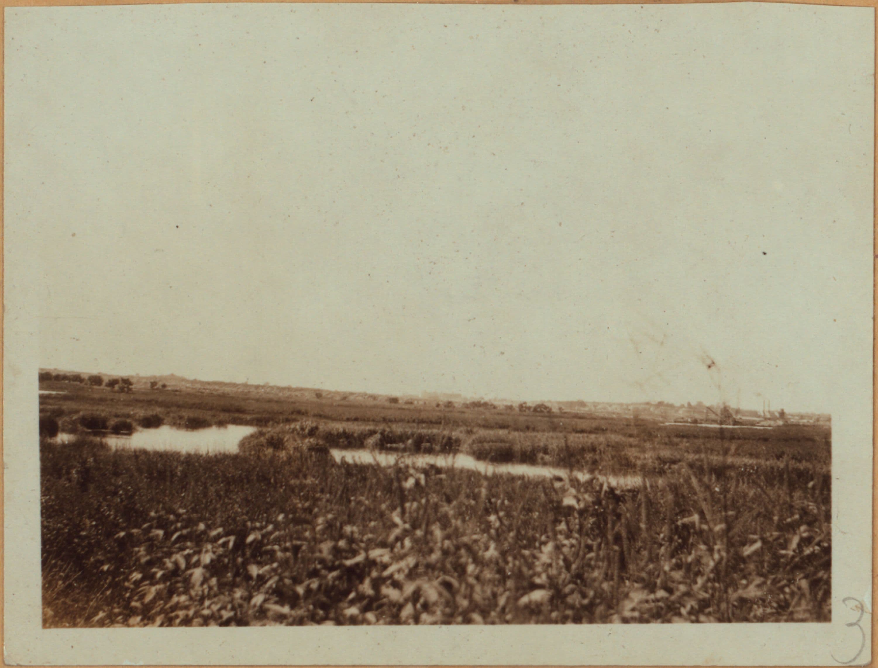 Queens: Flushing Meadow Park - [Rodman Street - North Hempstead Turnpike.]