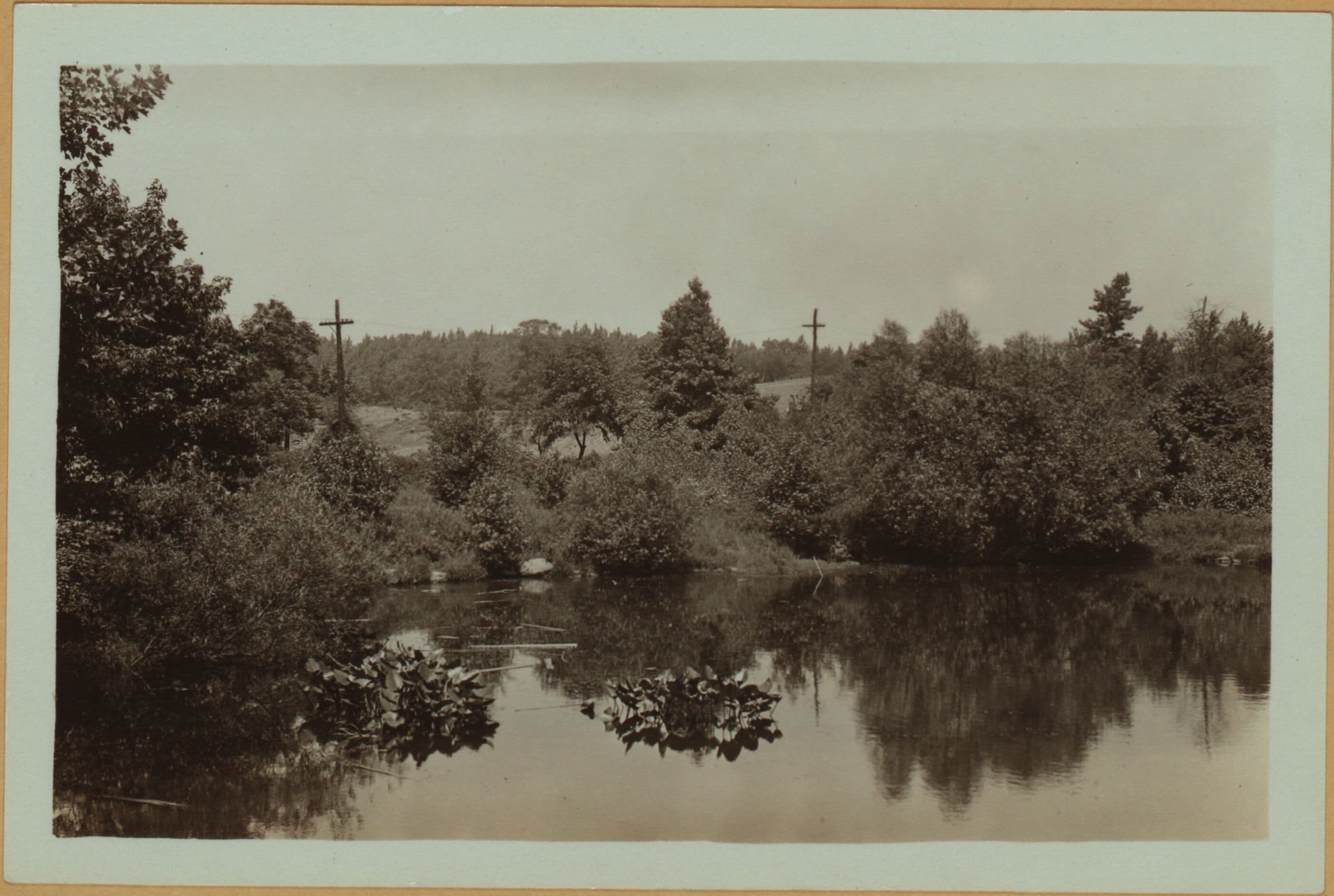 Richmond: Todt Hill Road - New York Avenue