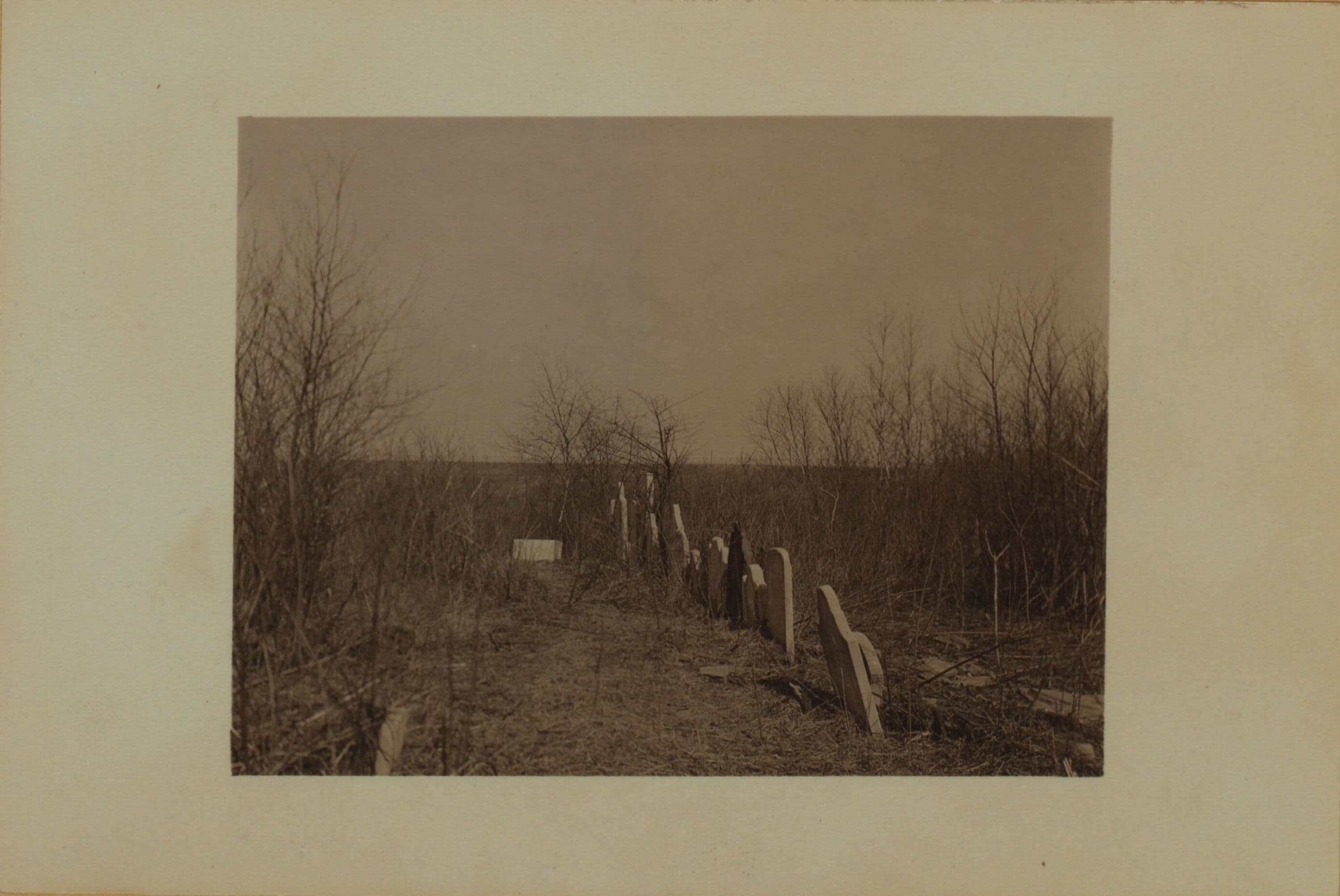 Cemeteries - Marine Cemetery - Staten Island.