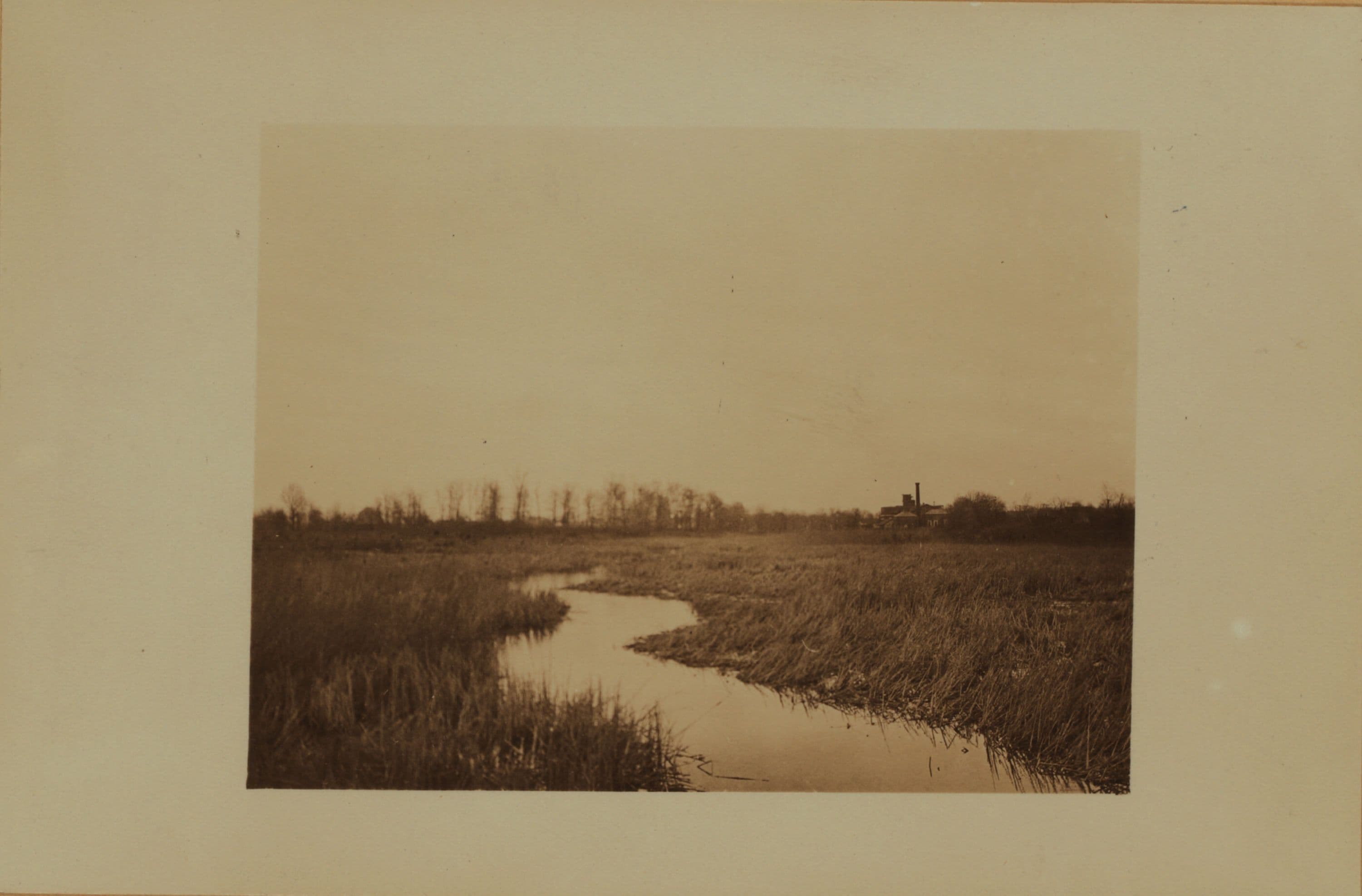 Farming (Queens)