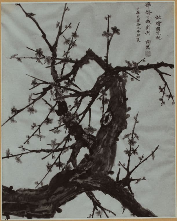 Newspapers - China Daily News Series No. 23.