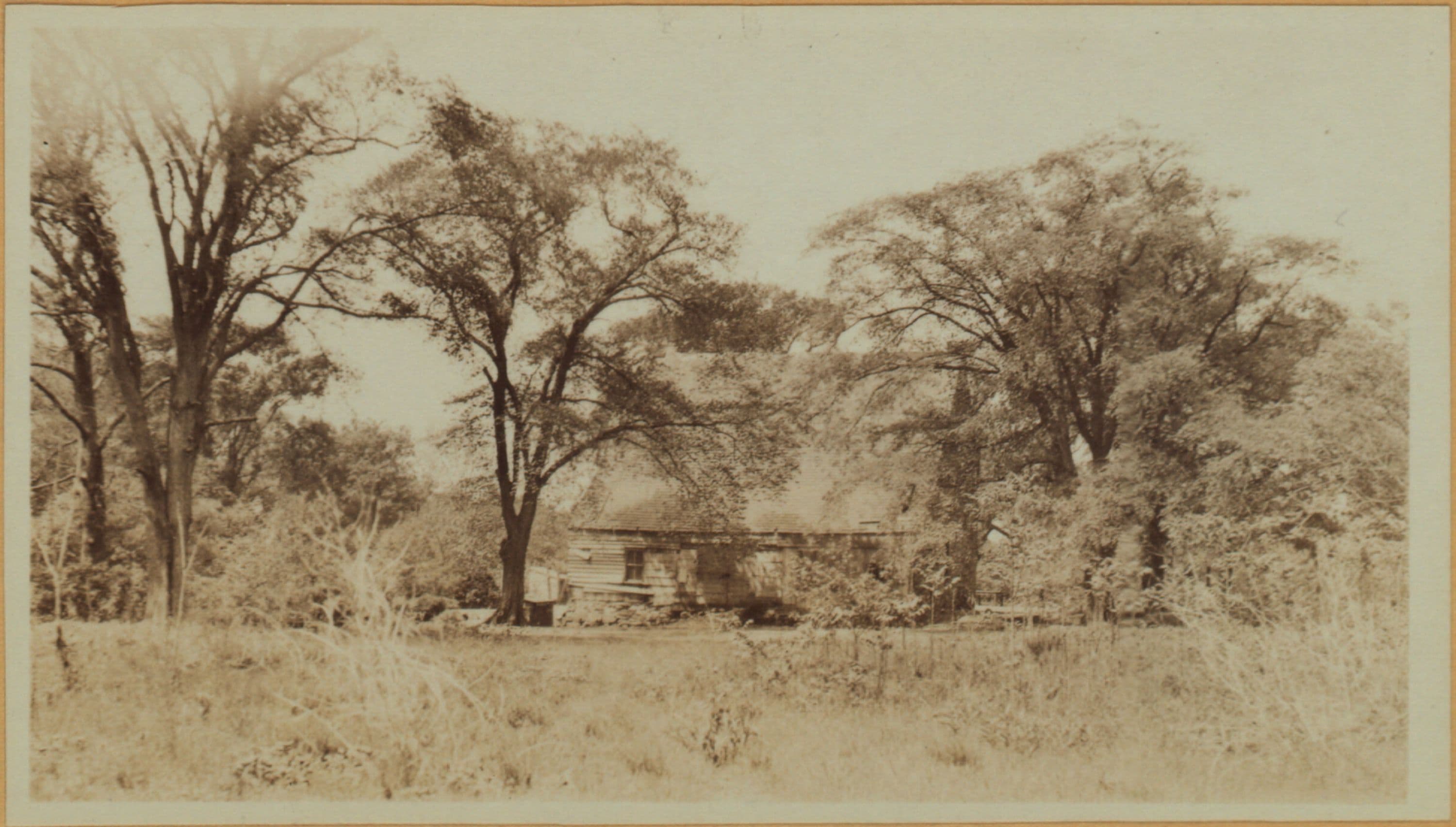Richmond: Hylan Boulevard - Satterlee Street