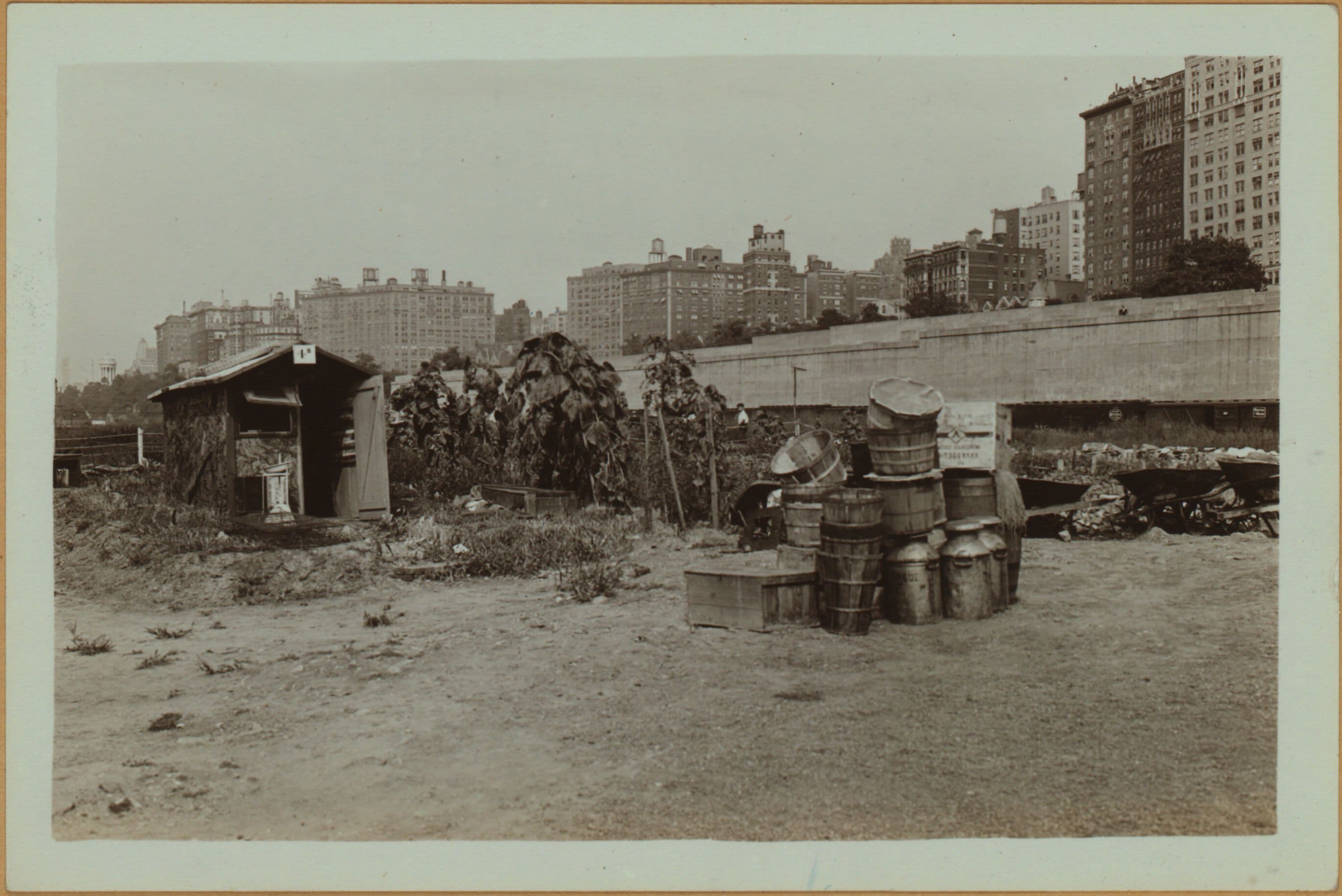 Squatters Colony - Camp Thomas Paine.