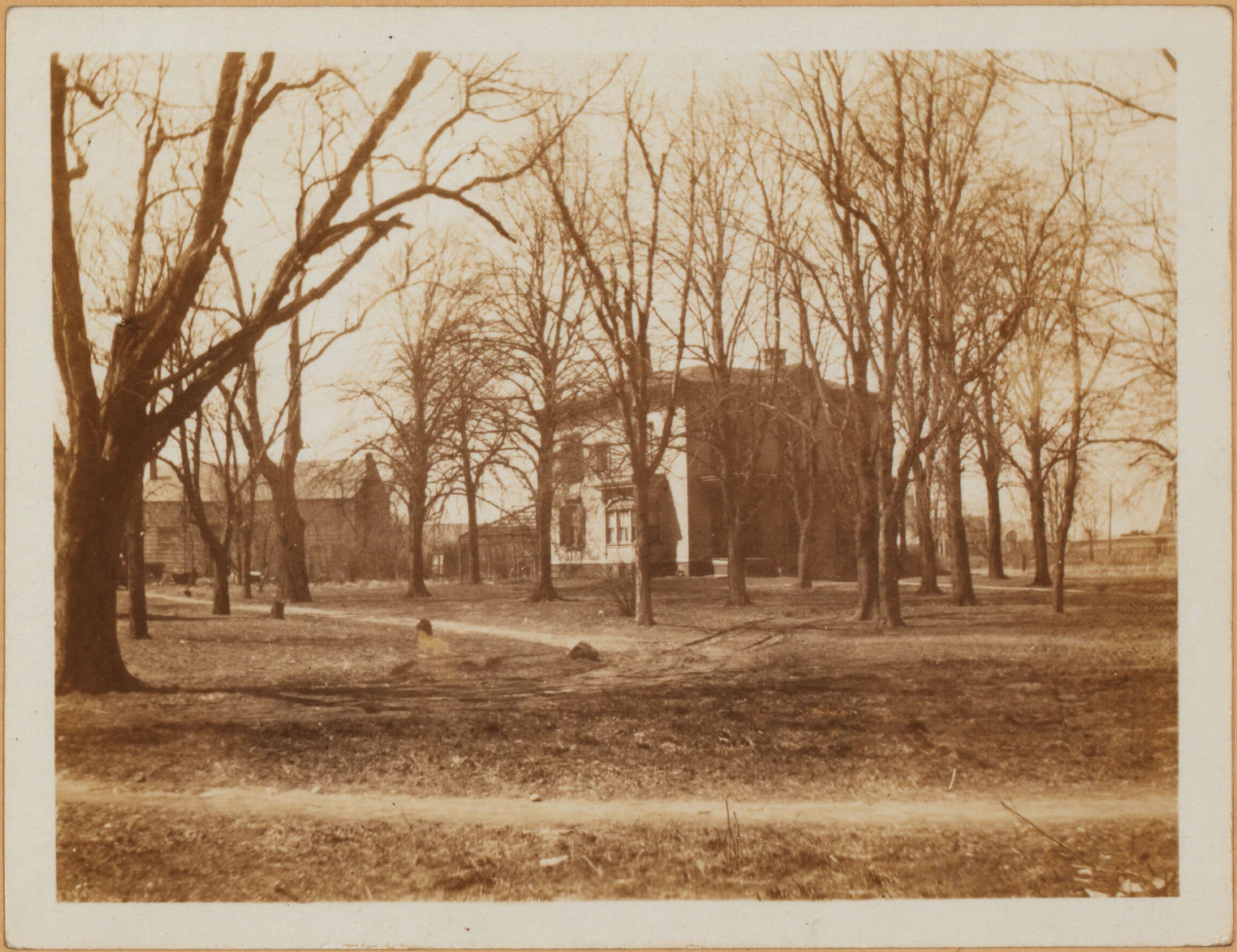 Brooklyn: Flatbush Avenue - Avenue H