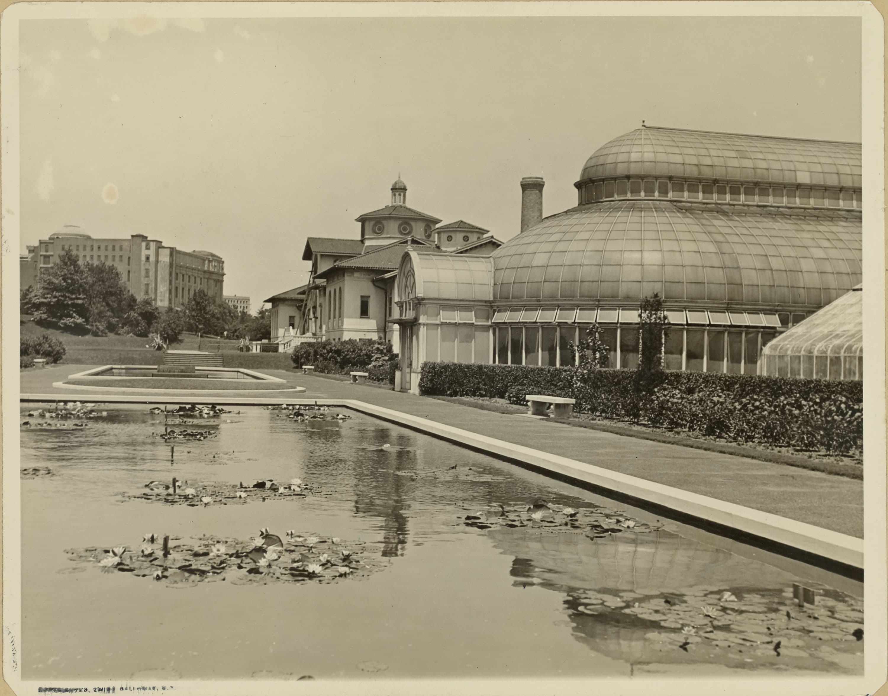 Brooklyn: Prospect Park - Botanical Gardens.
