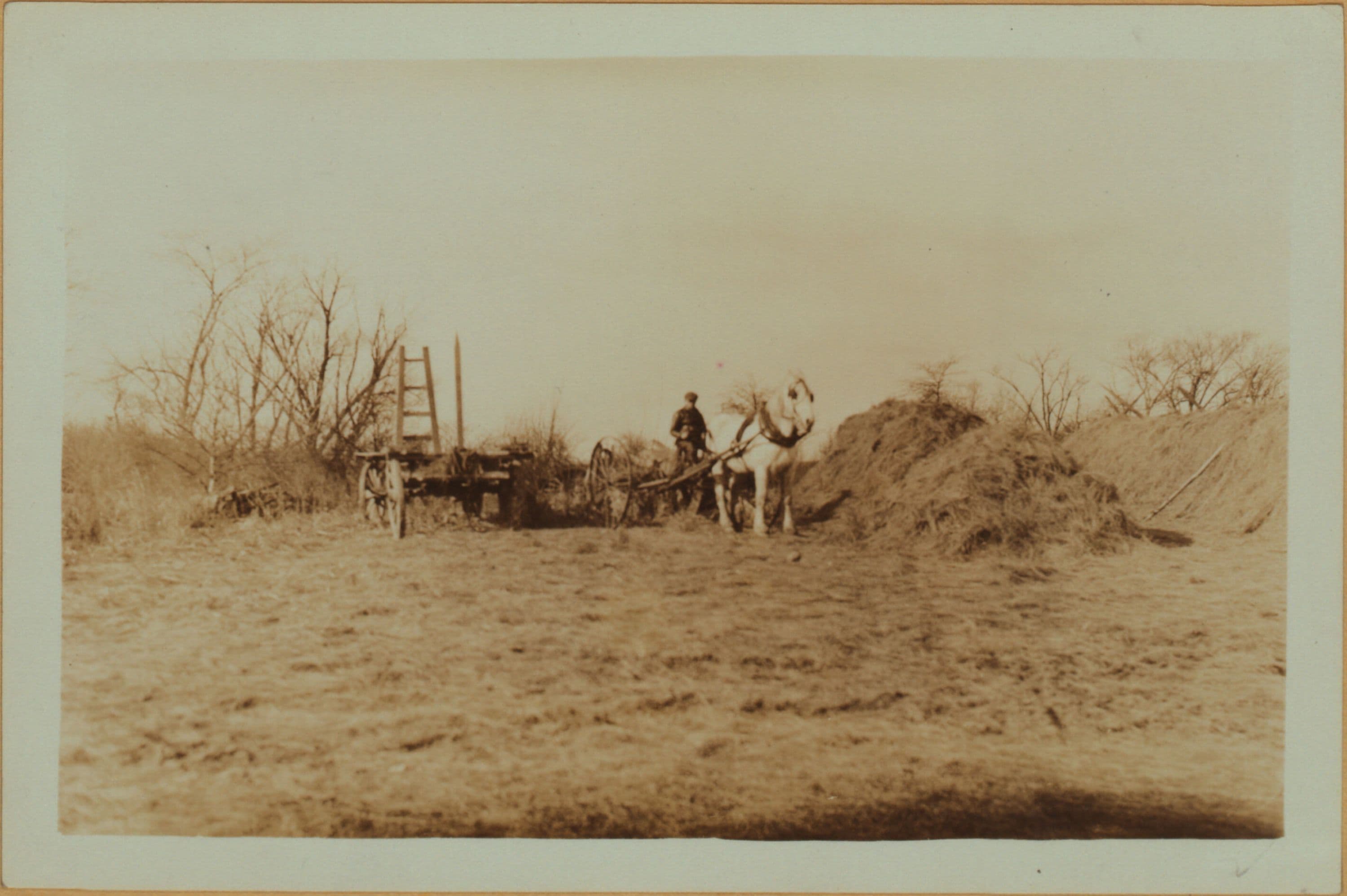 Farming on Staten Island
