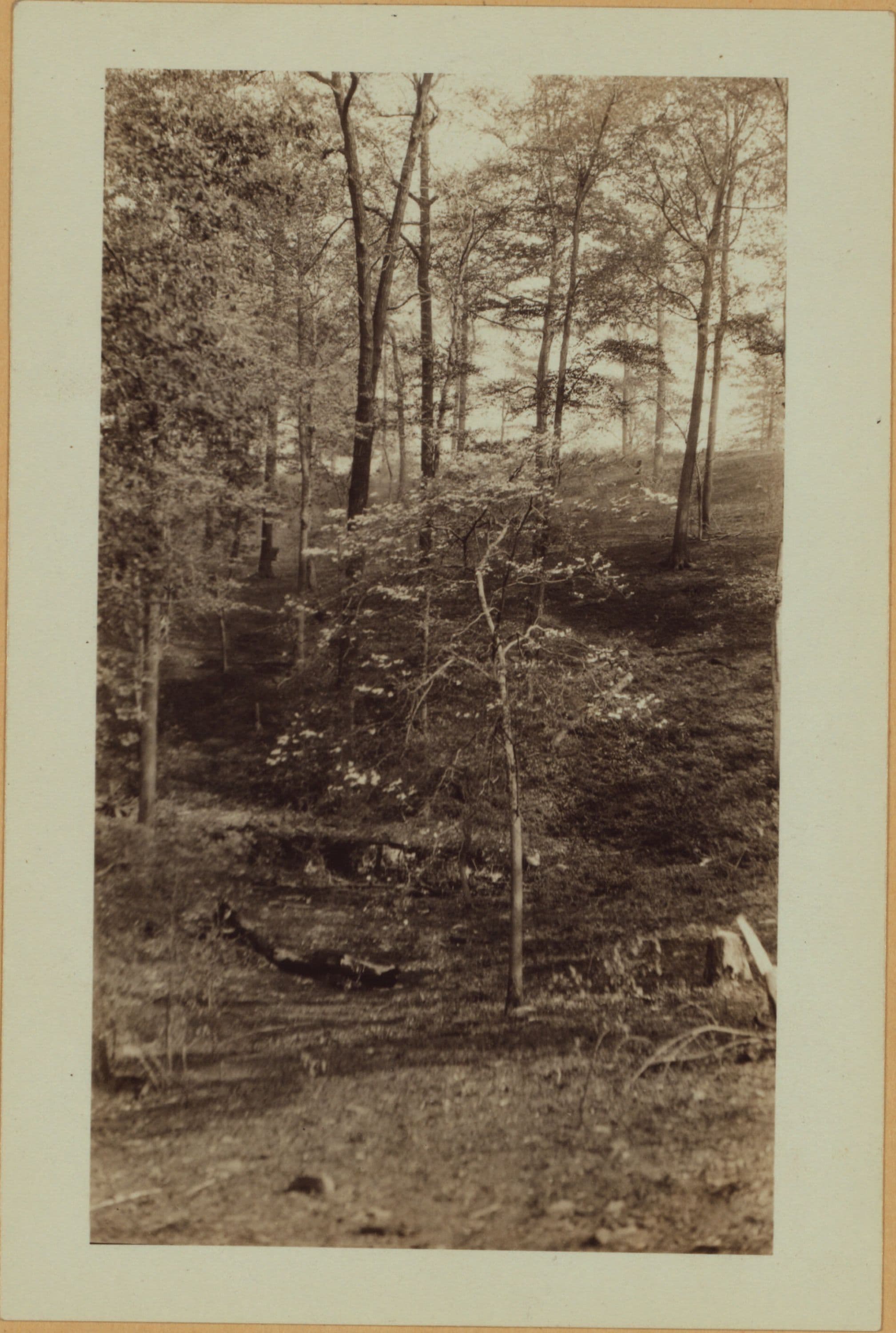 Richmond: Hunton Street - Holly Street