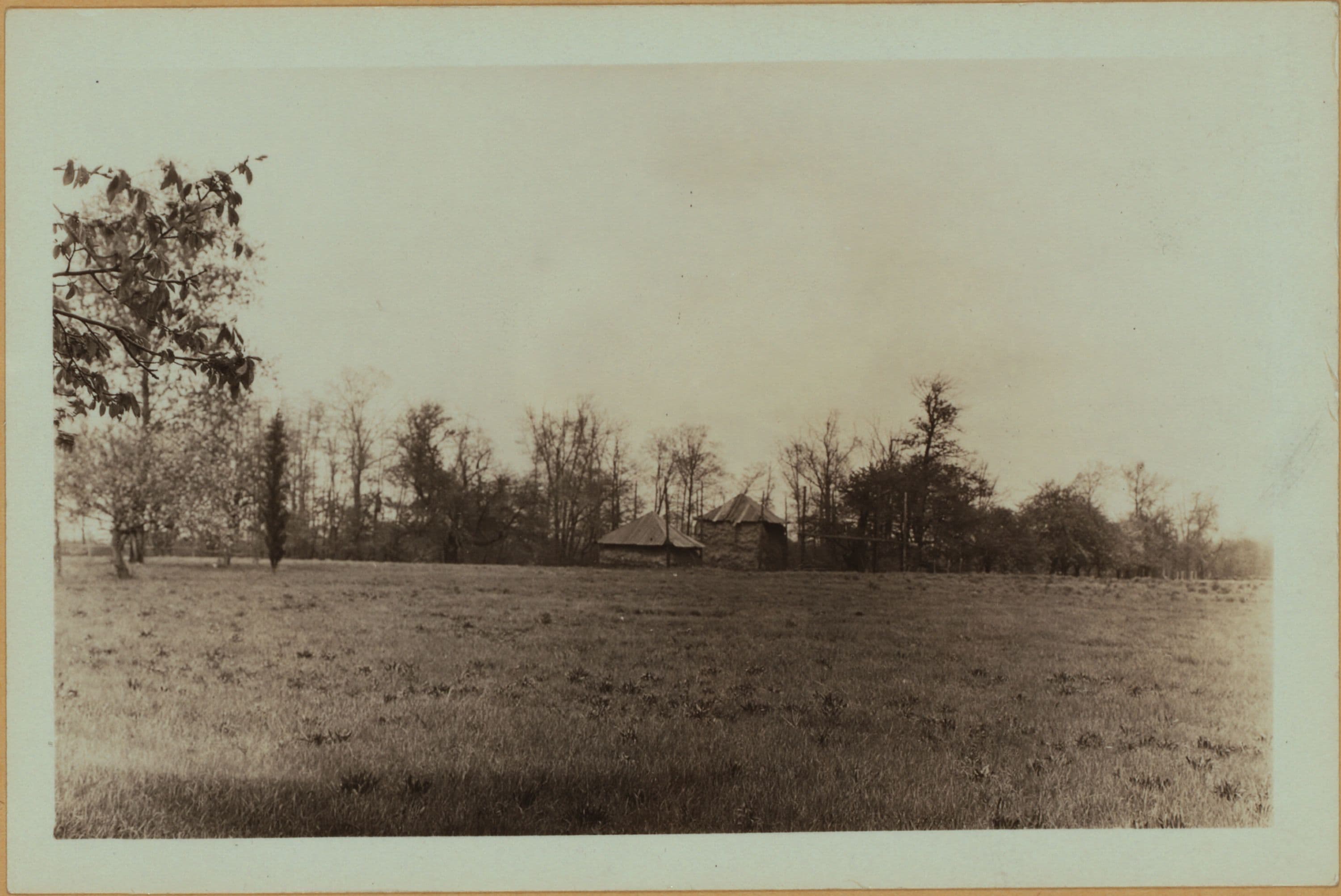 Farming on Staten Island