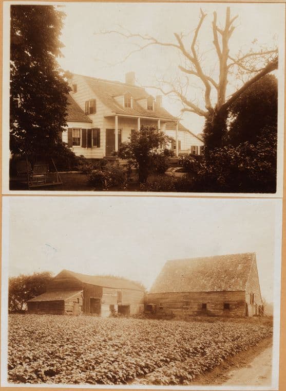 Brooklyn: 36th Street (East) - Fillmore Avenue
