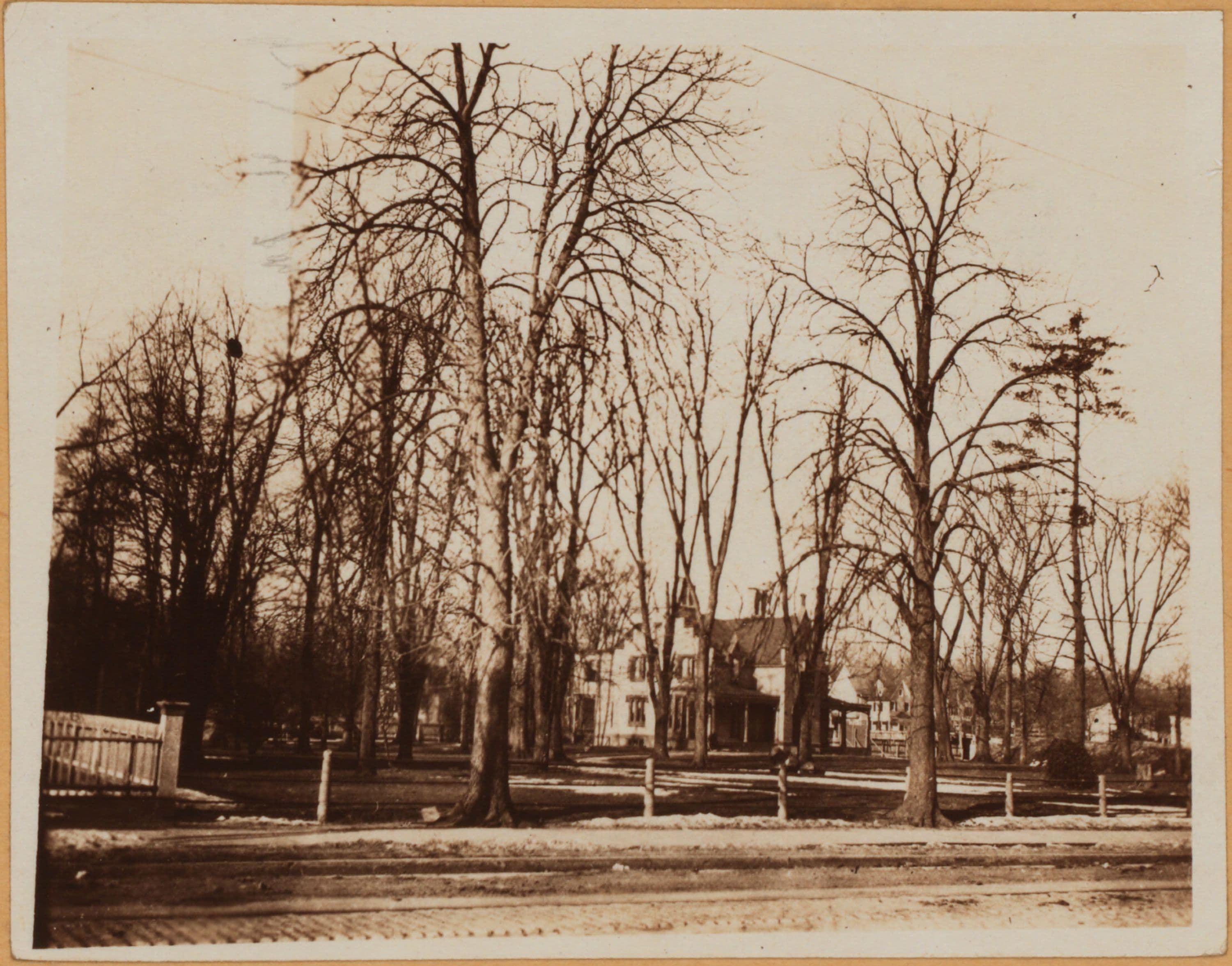 Brooklyn: Flatbush Avenue - Maple Street