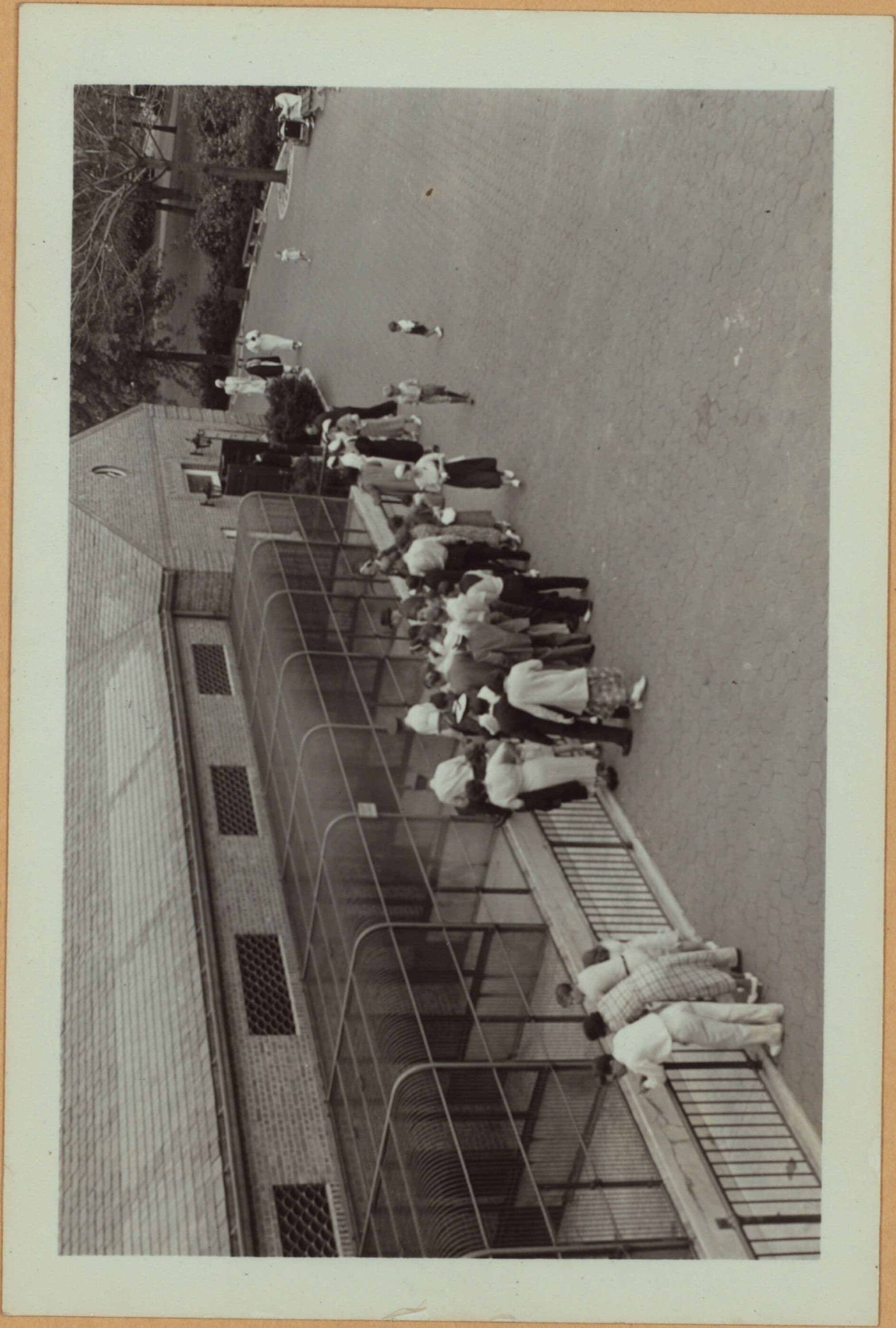 Richmond: Barrett Park - [Barrett Park Menagerie.]