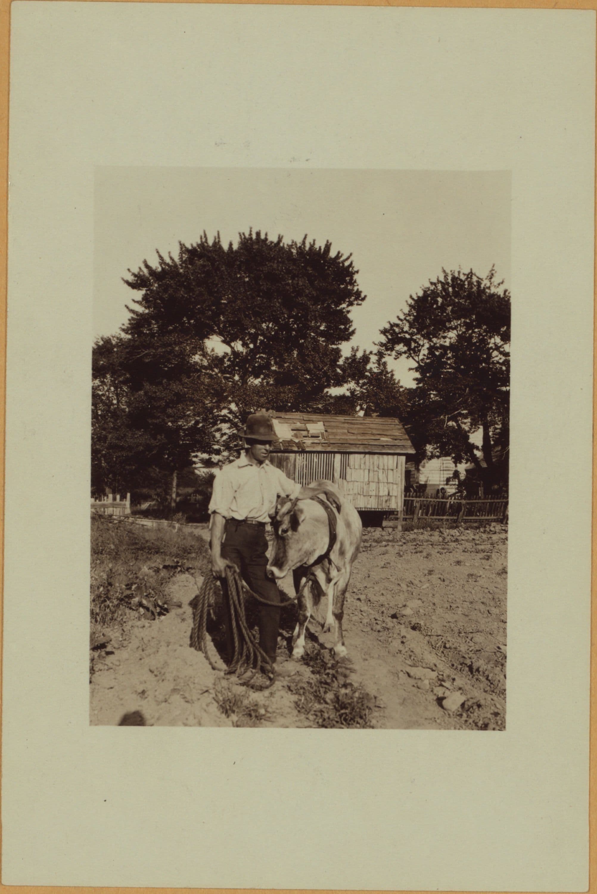 Richmond: Hall Avenue - Willowbrook Road