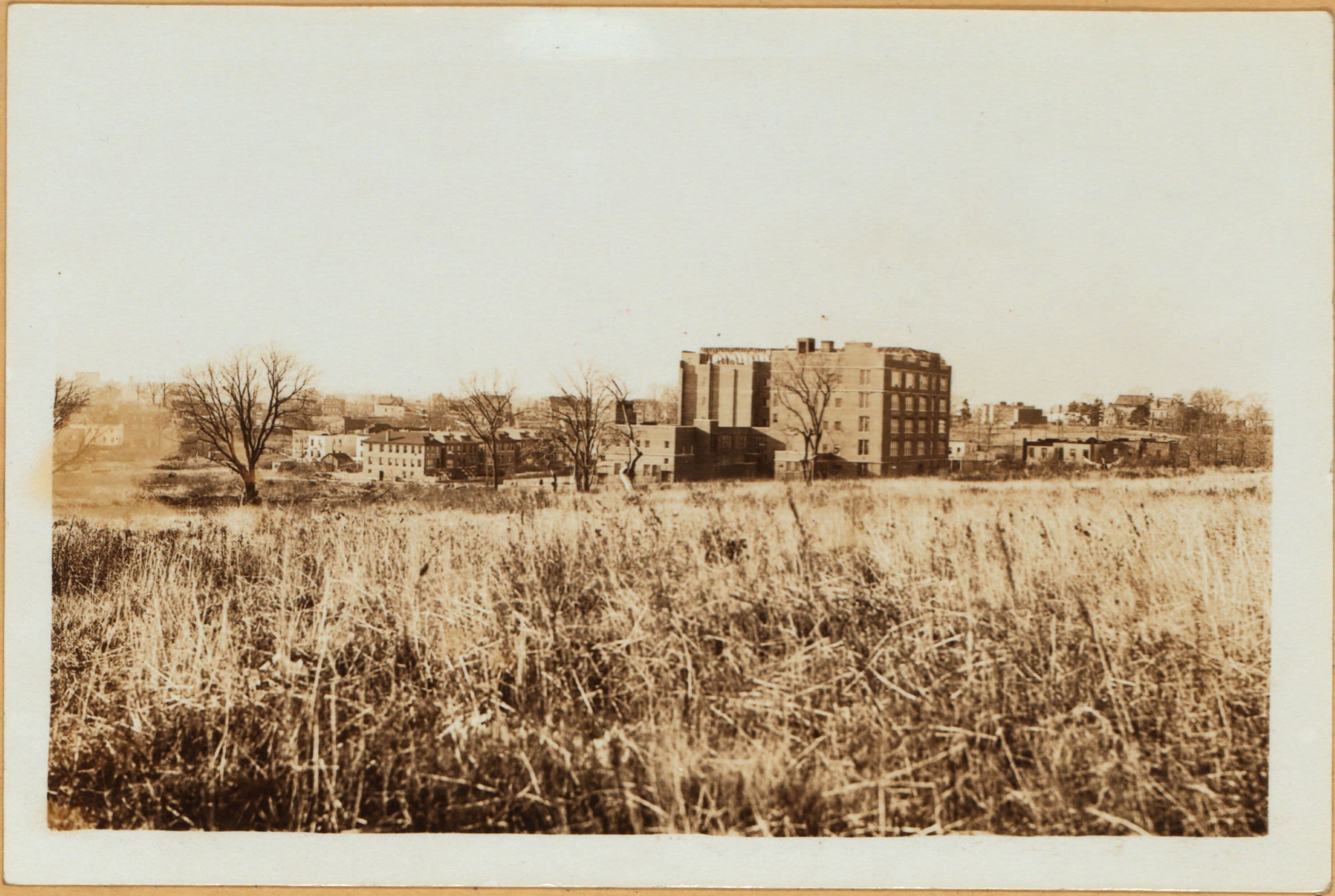 Bronx: Hicks Street - Eastchester Road