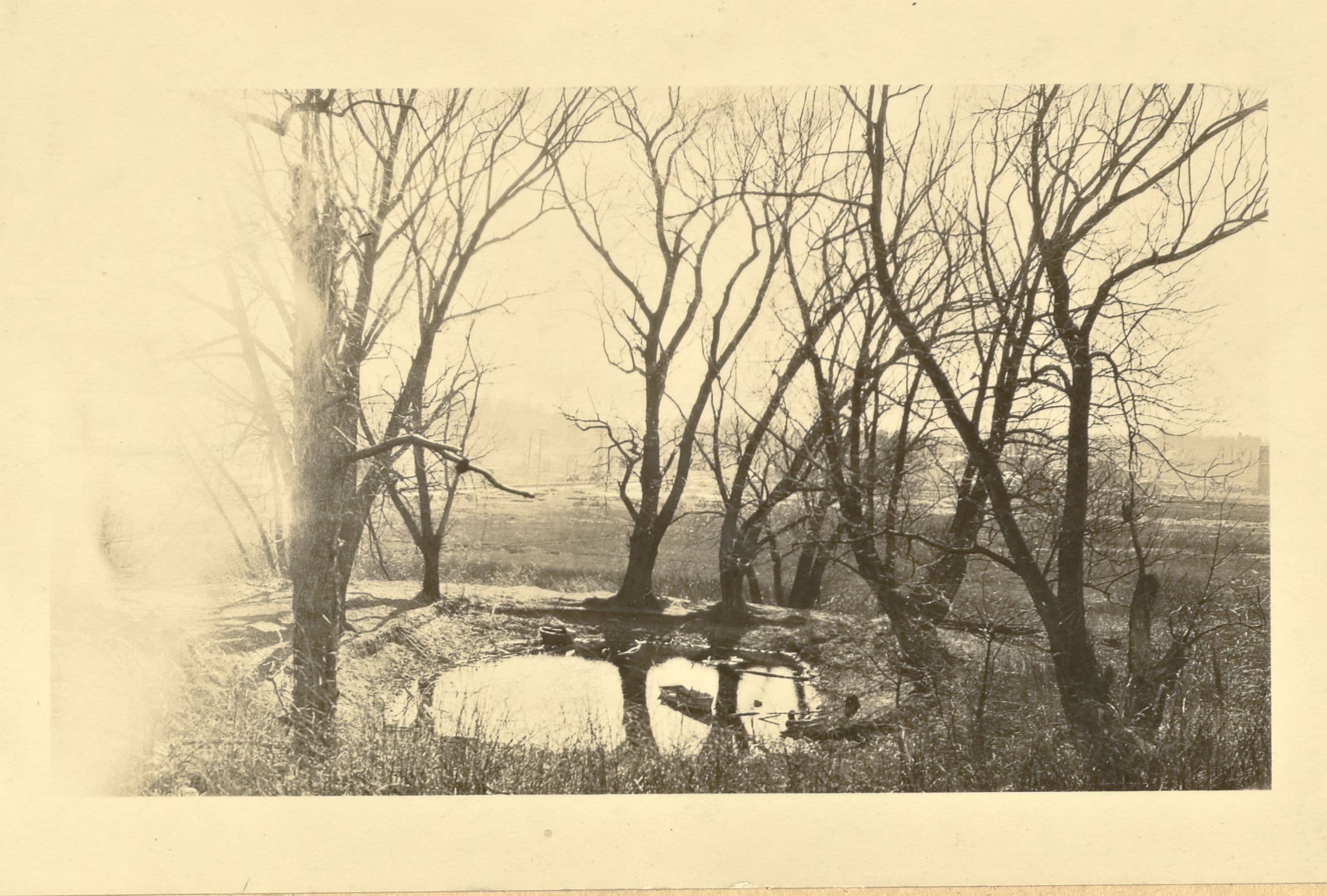 Queens: Northern Boulevard - Douglaston Parkway