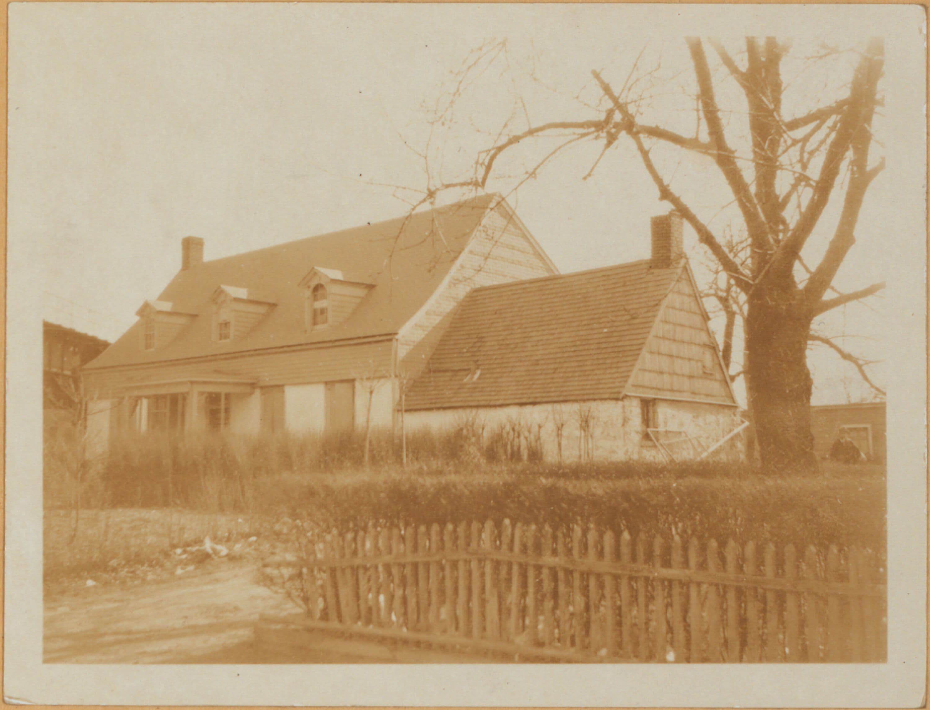 Brooklyn: New Utrecht Avenue - 84th Street