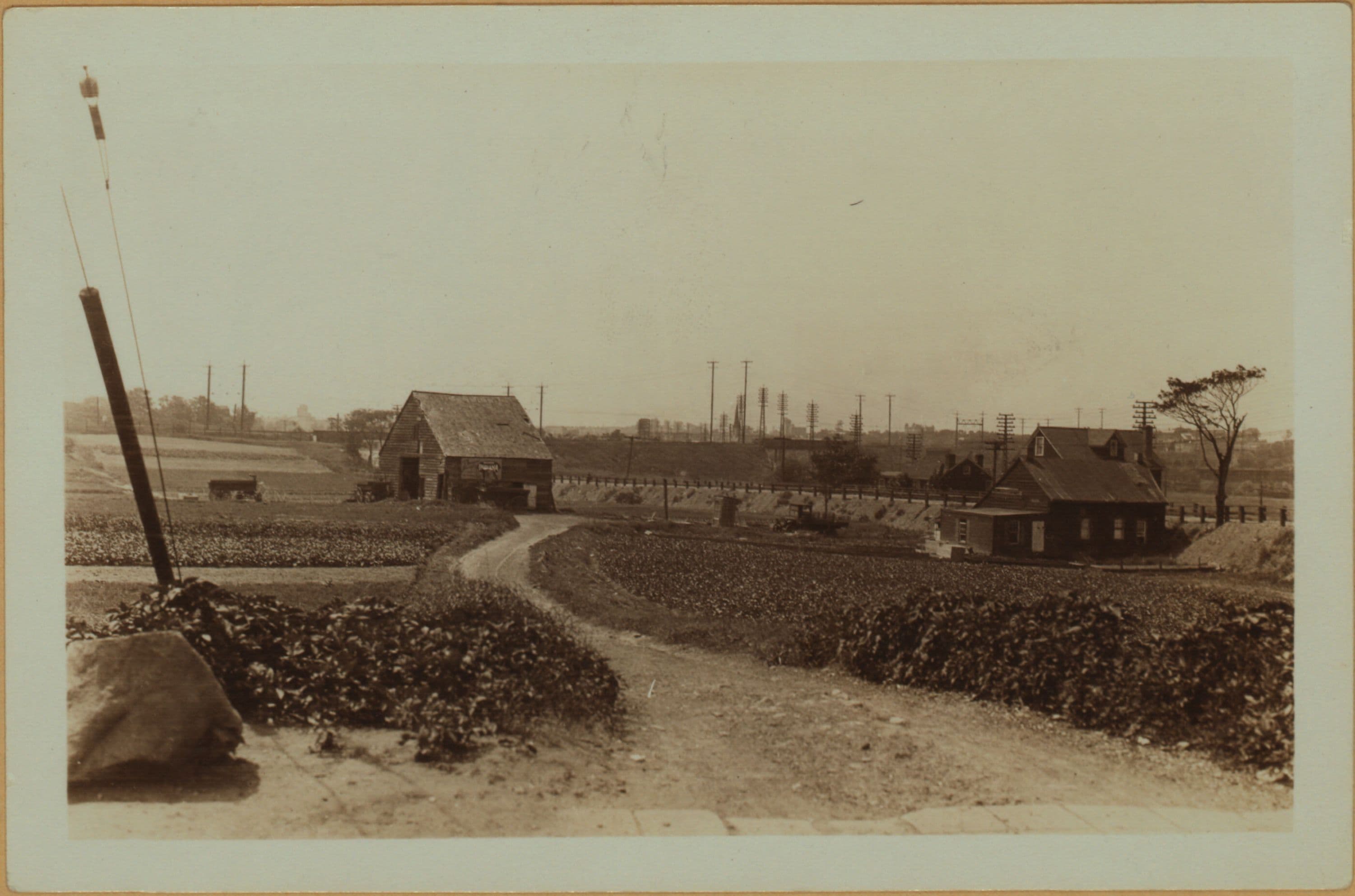 Farming - Queens.
