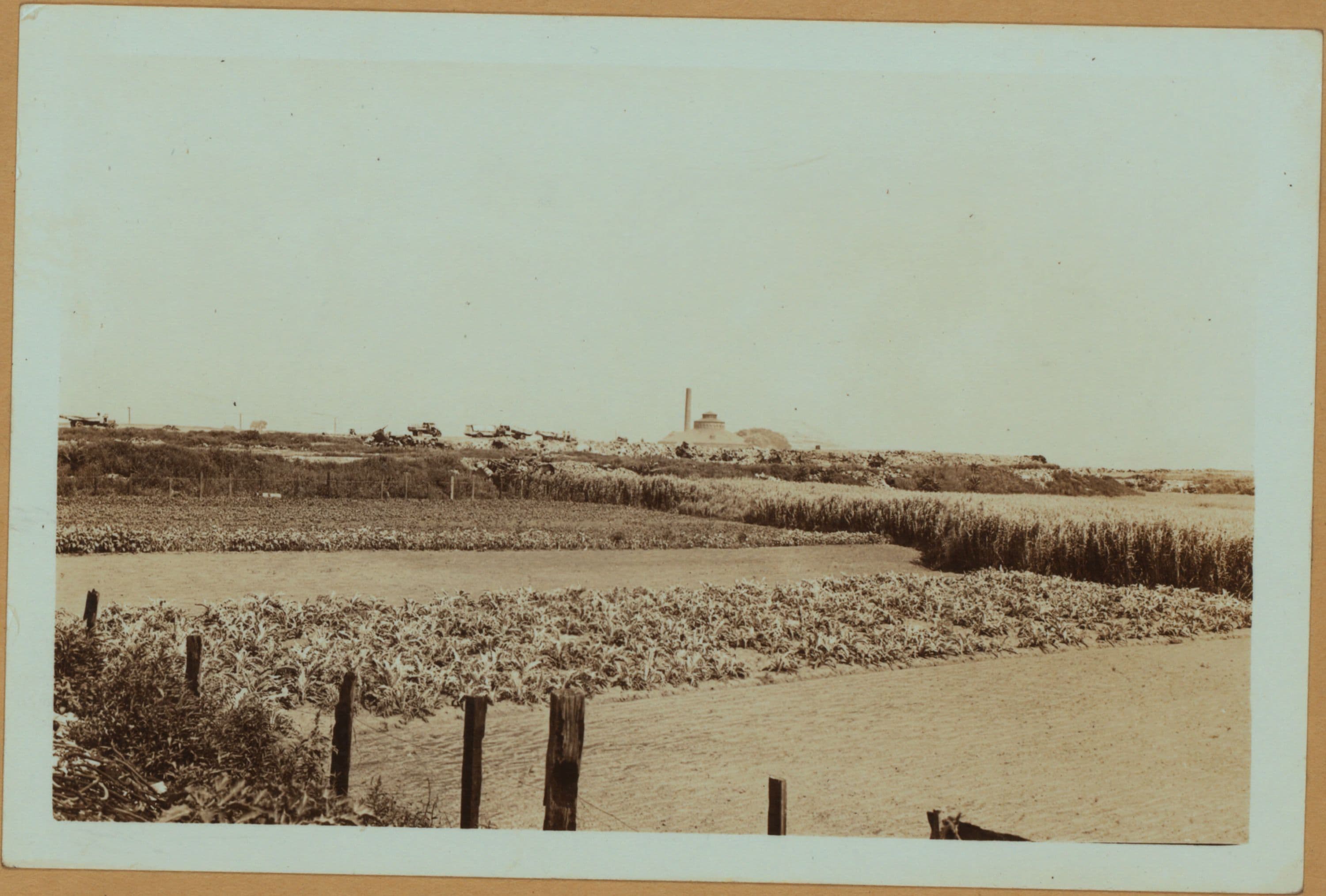 General View - Brooklyn - New Jersey Avenue - Wortman Avenue.