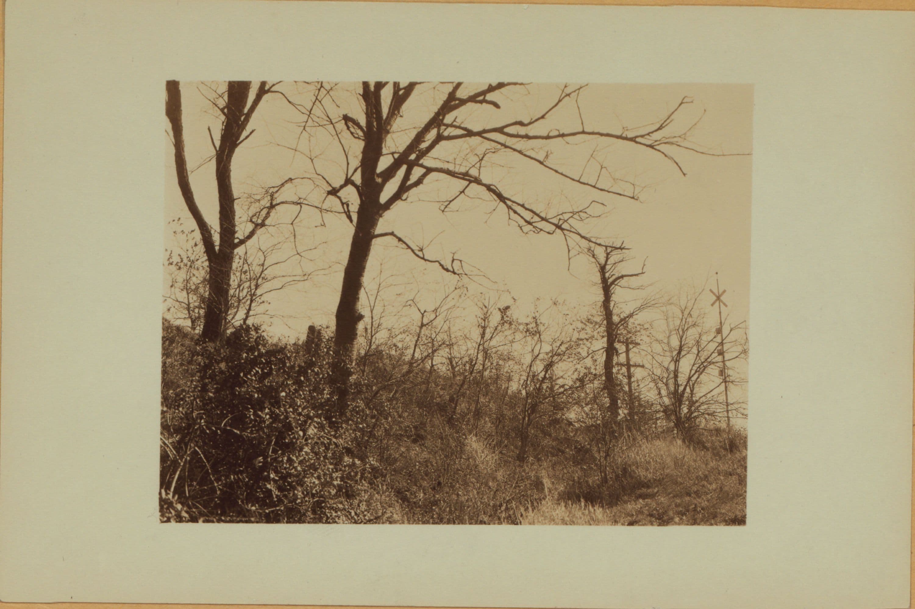 Richmond: Fort Place - Sherman Avenue
