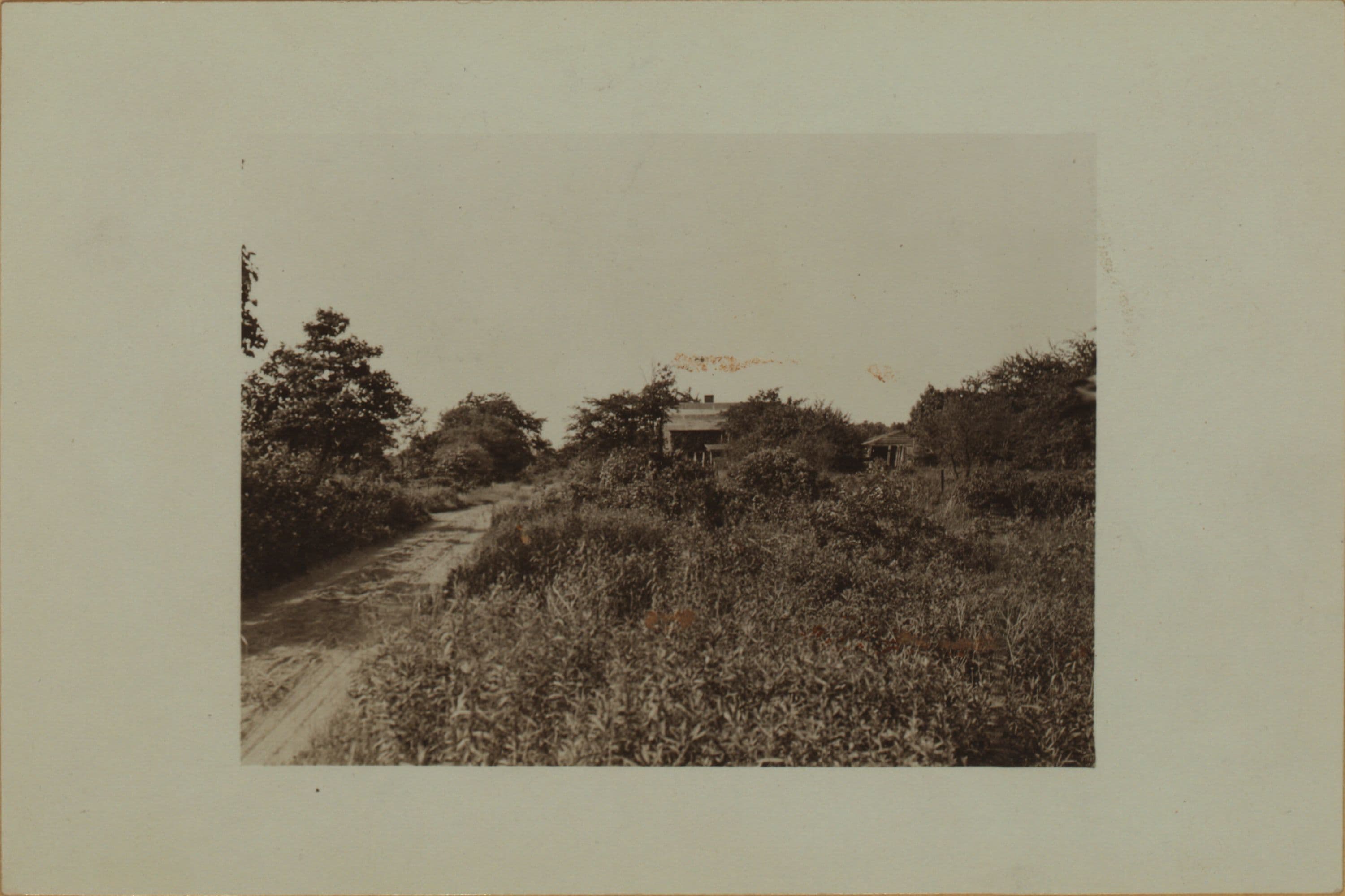Richmond: Rockland Avenue - Richmond Avenue