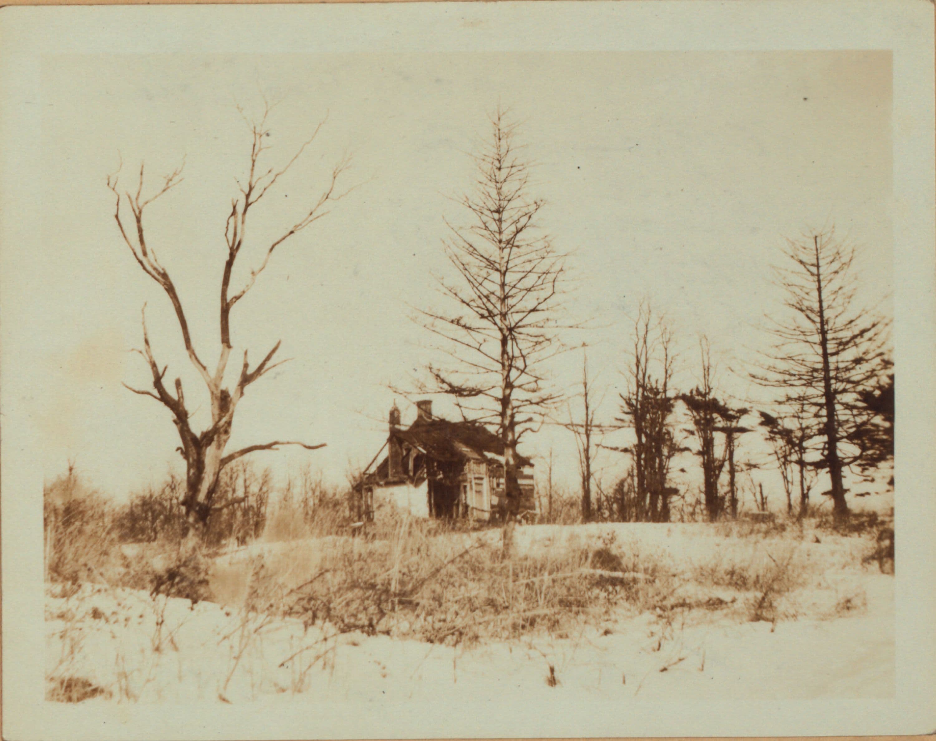 Queens: Springfield Boulevard - 73rd Avenue