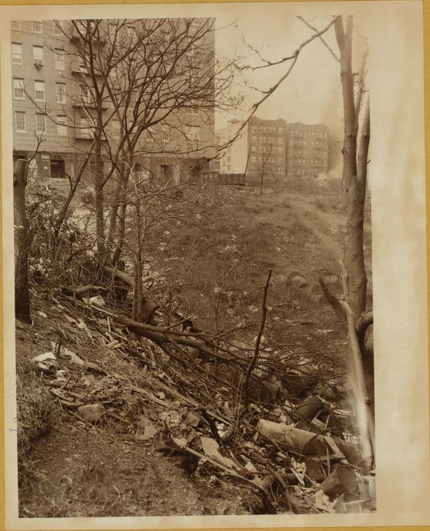 Bronx: Lafayette Avenue - Longfellow Avenue
