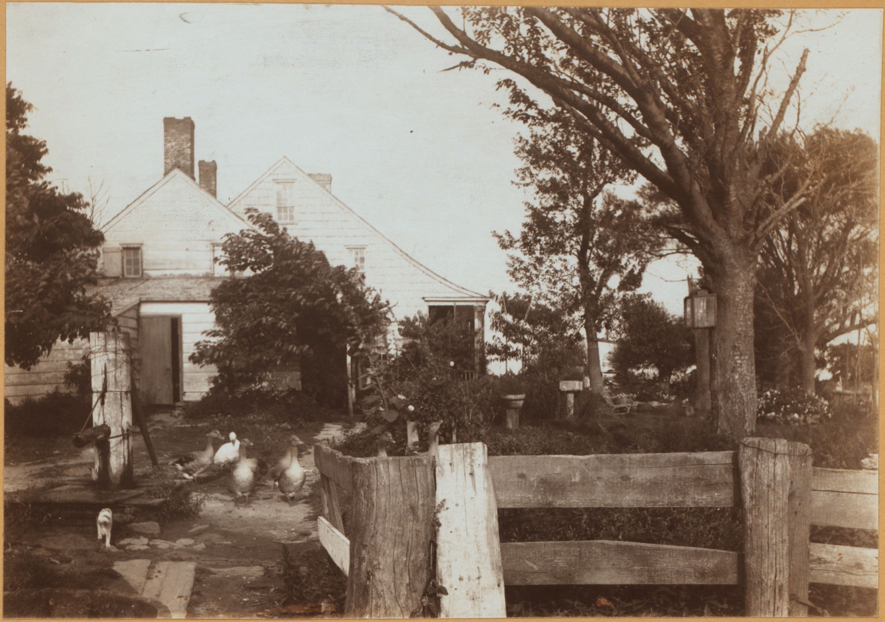 Brooklyn: Rockaway Parkway - Avenue N