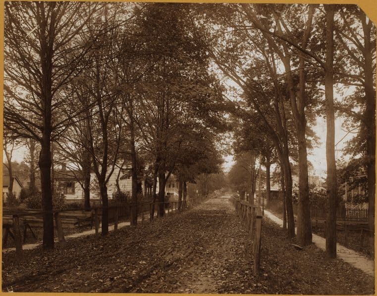Bronx: Bronx River Parkway - 174th Street (East)