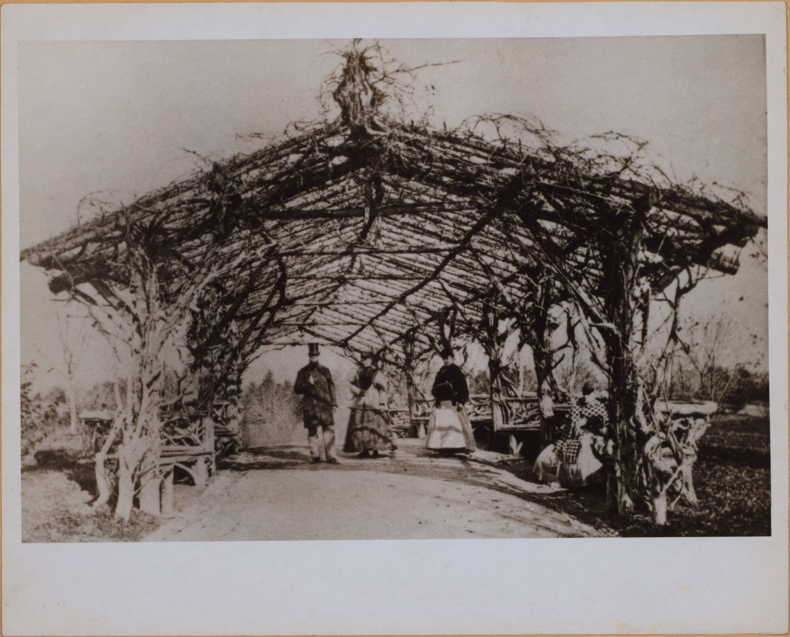 Manhattan: Central Park - Rustic Arbor.