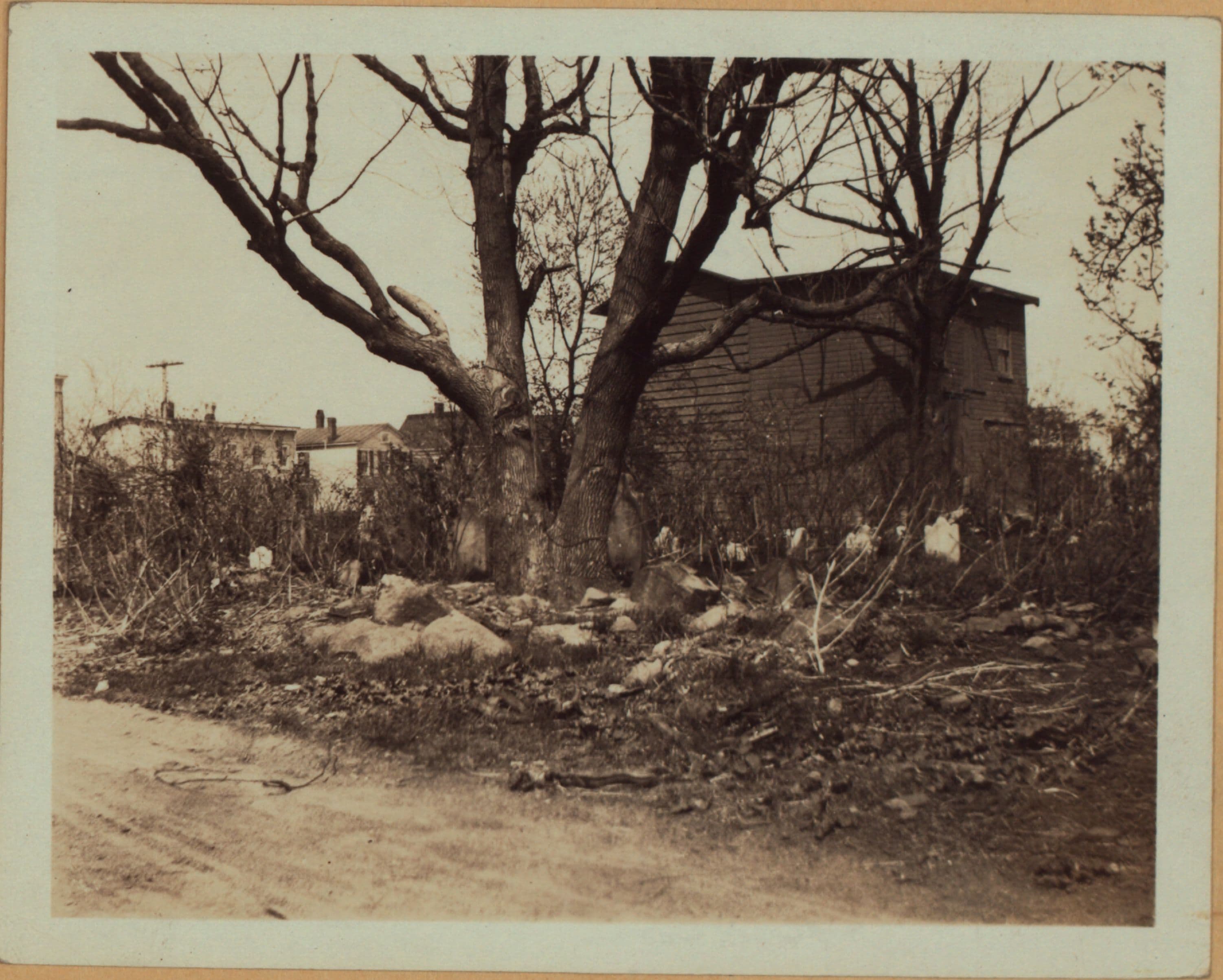 Queens: 94th Street - 46th Avenue